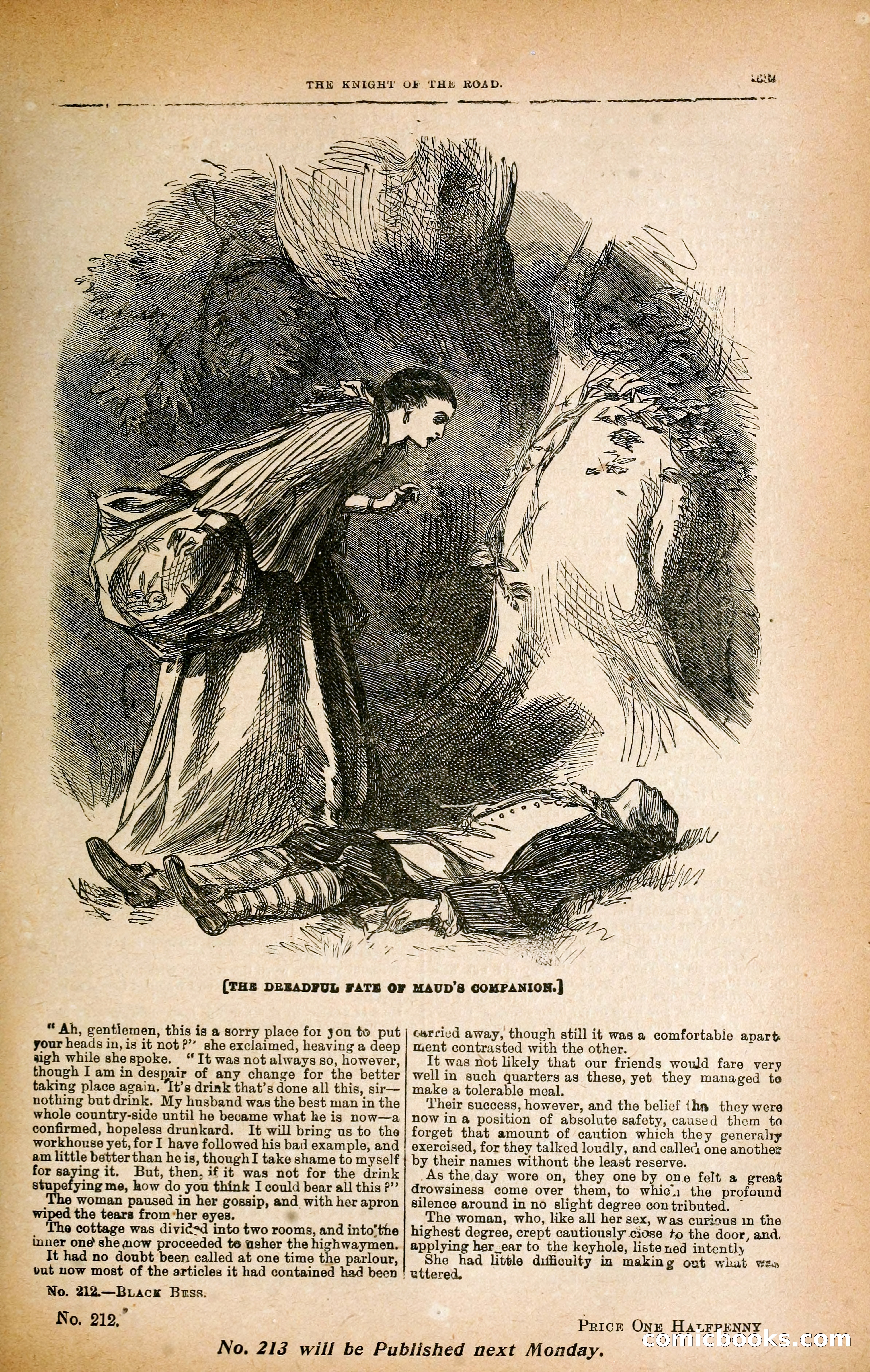 Black Bess; or, the Knight of the Road — page 317 of 395