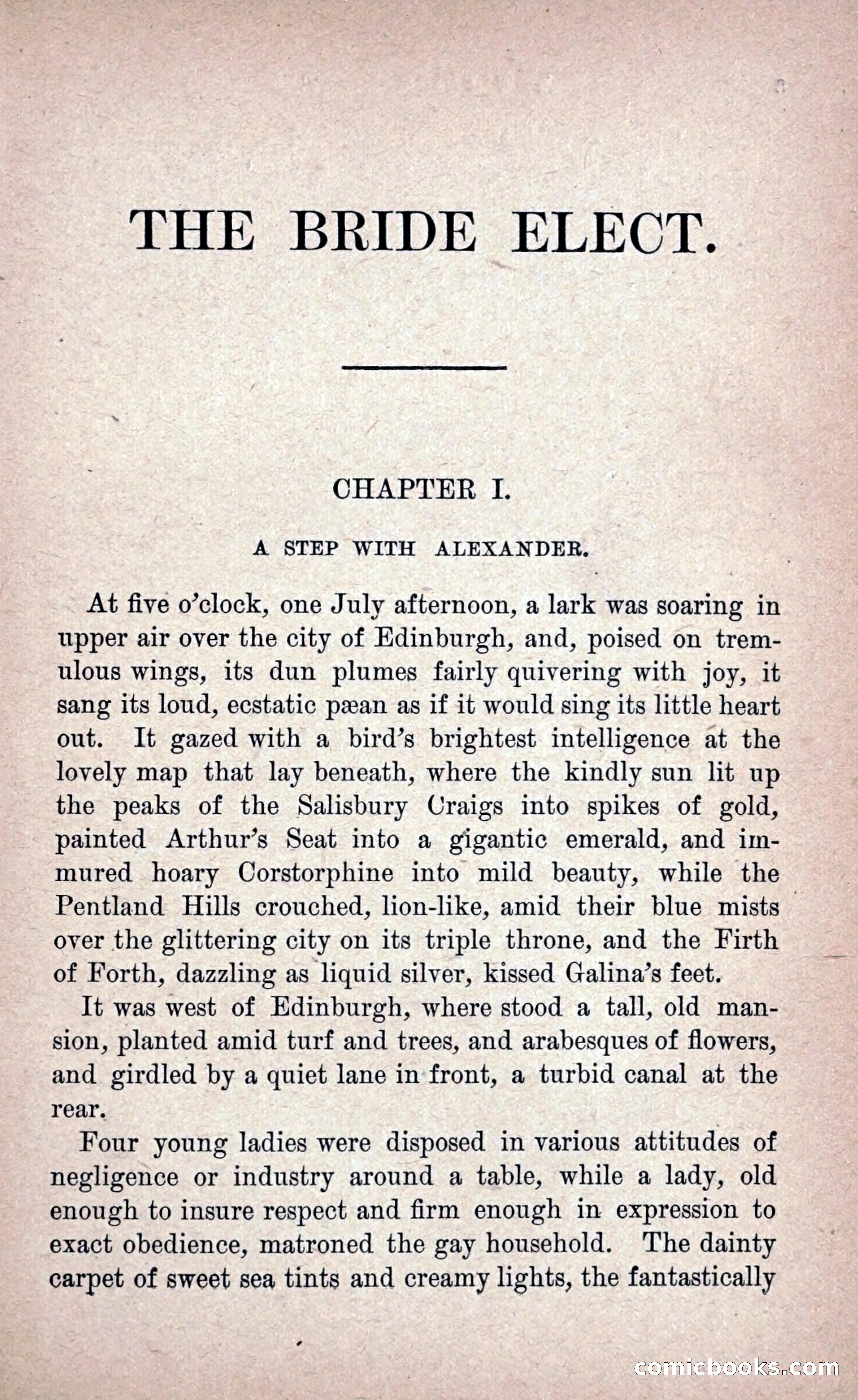 The Bride Elect: or, The Doom of the Double Roses — page 14 of 265