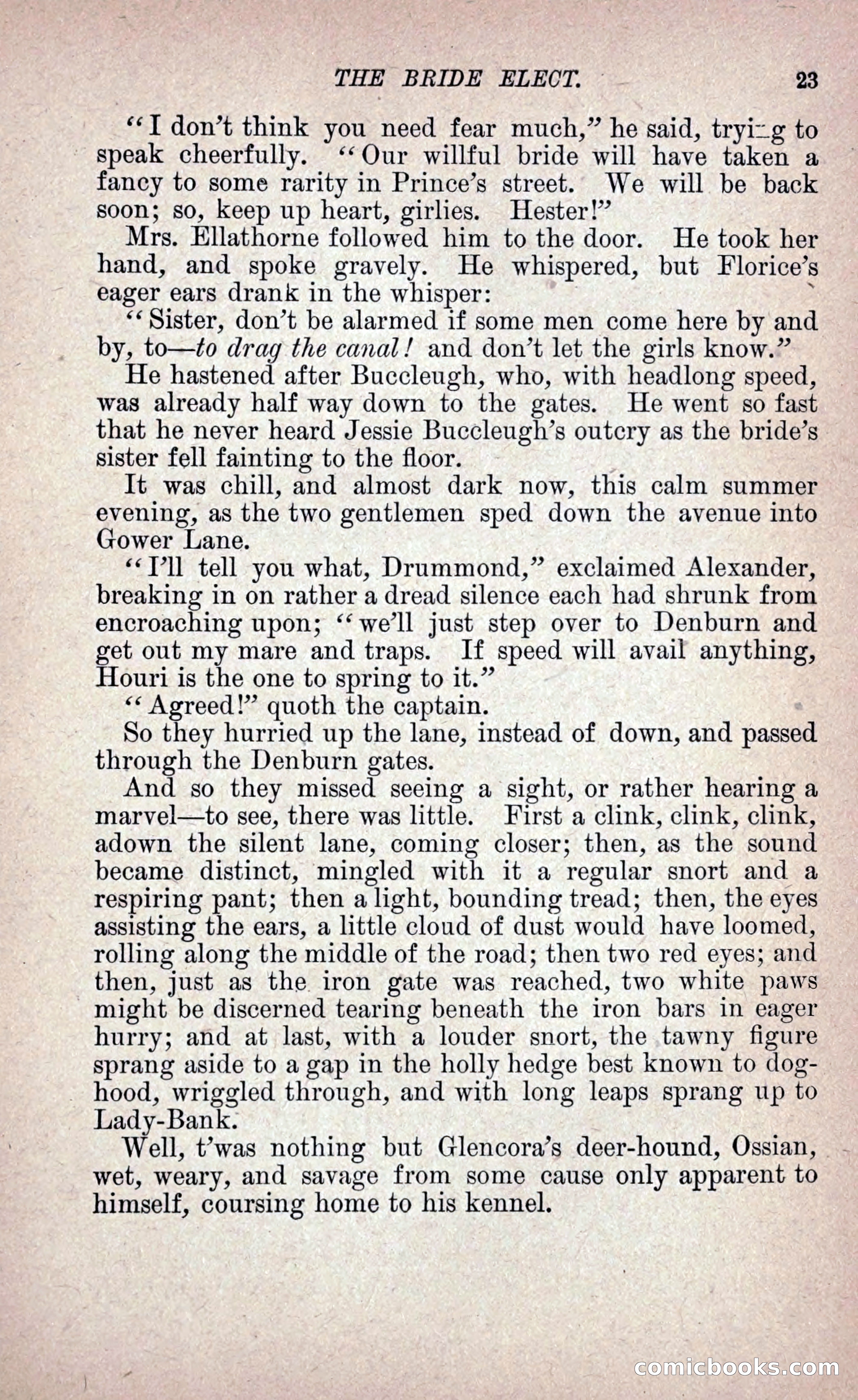 The Bride Elect: or, The Doom of the Double Roses — page 32 of 265