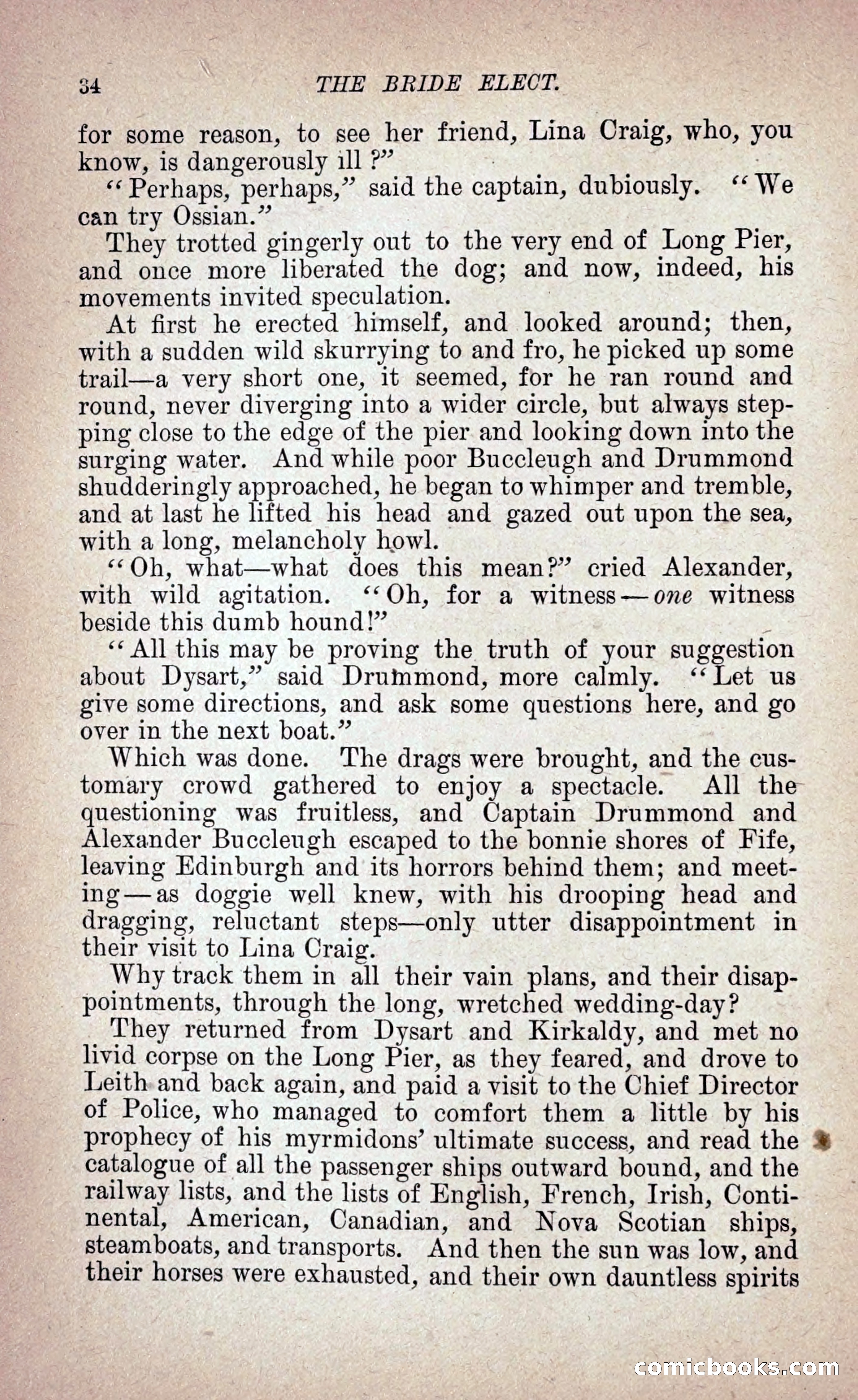 The Bride Elect: or, The Doom of the Double Roses — page 43 of 265