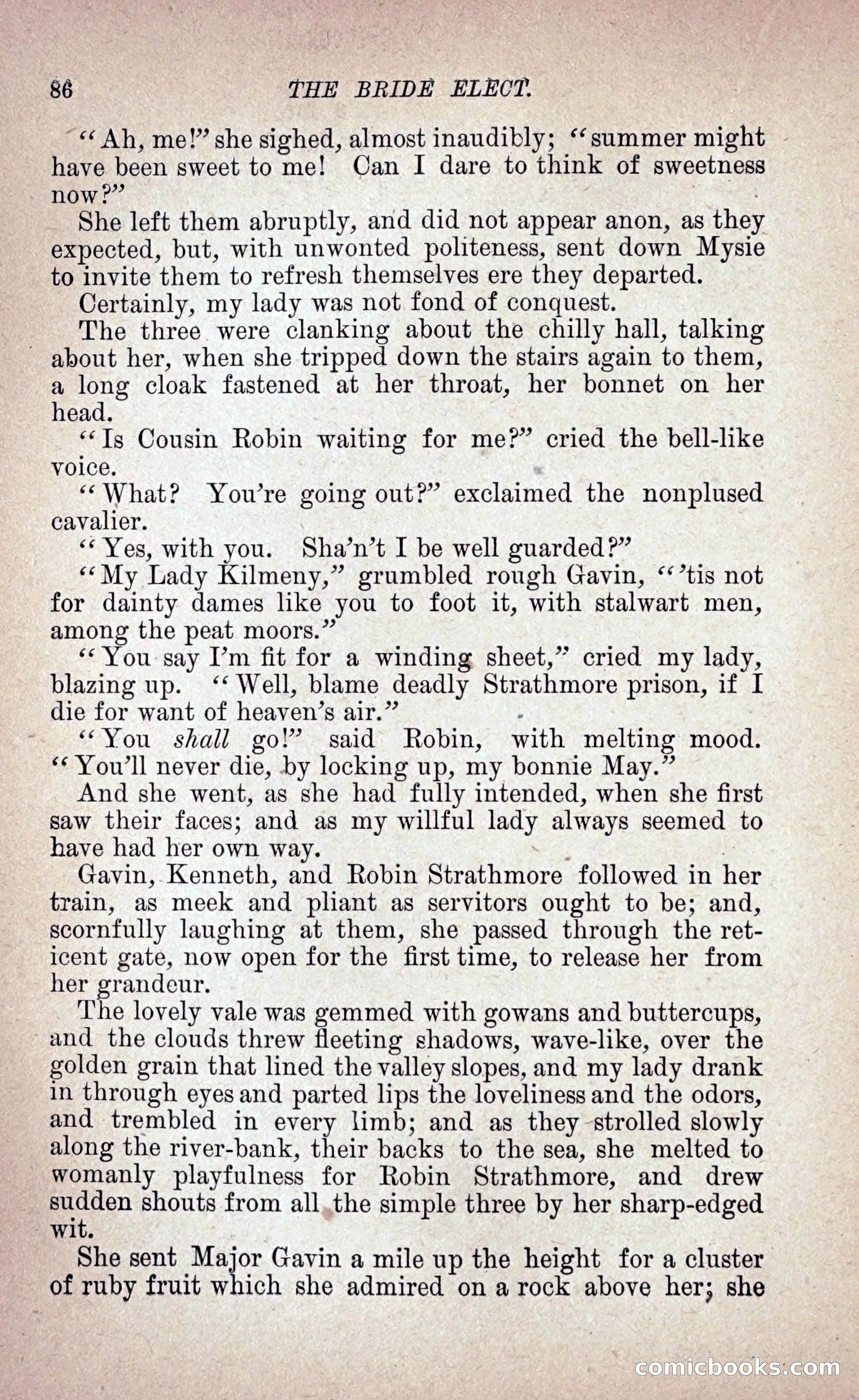 The Bride Elect: or, The Doom of the Double Roses — page 95 of 265