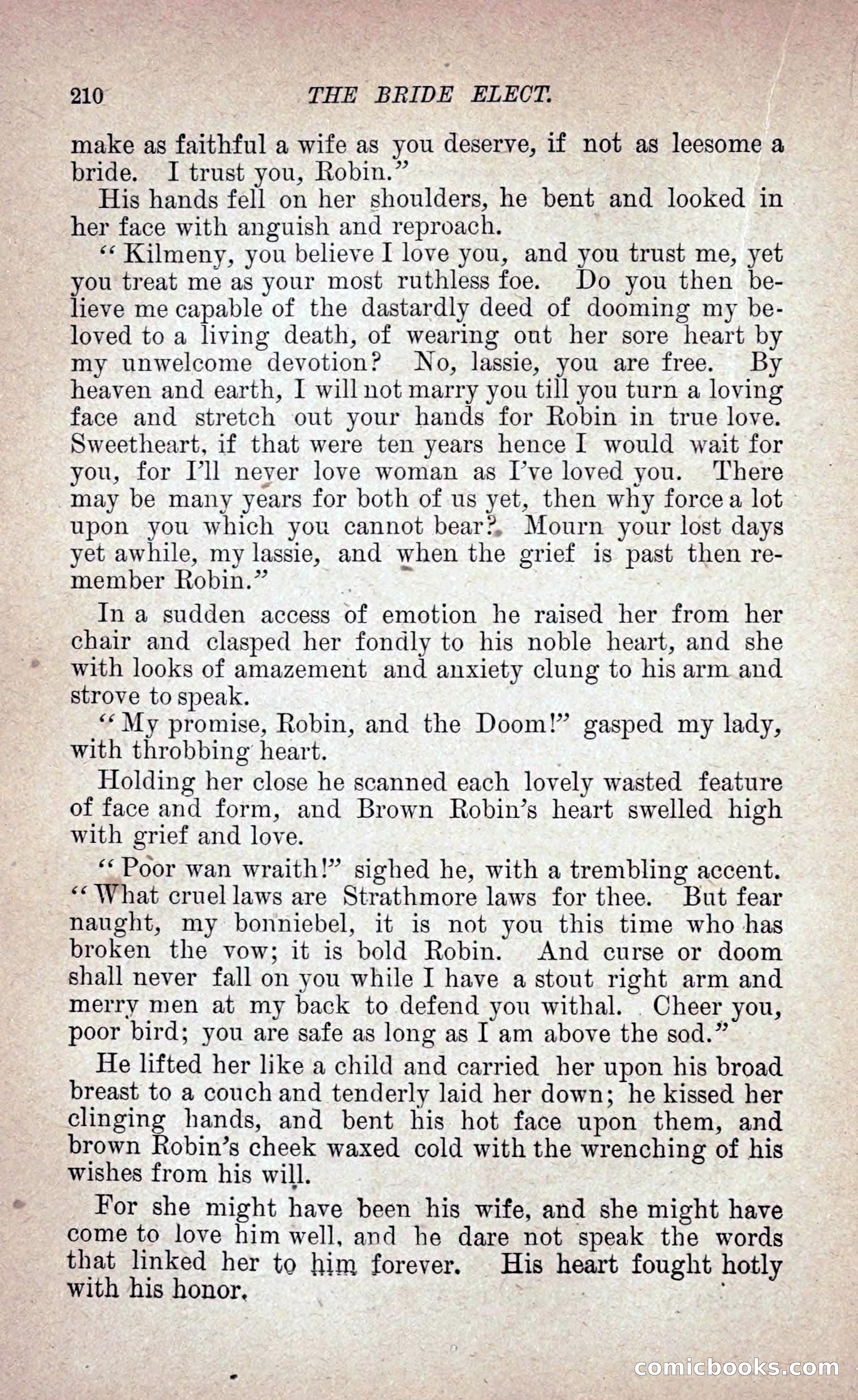 The Bride Elect: or, The Doom of the Double Roses — page 219 of 265