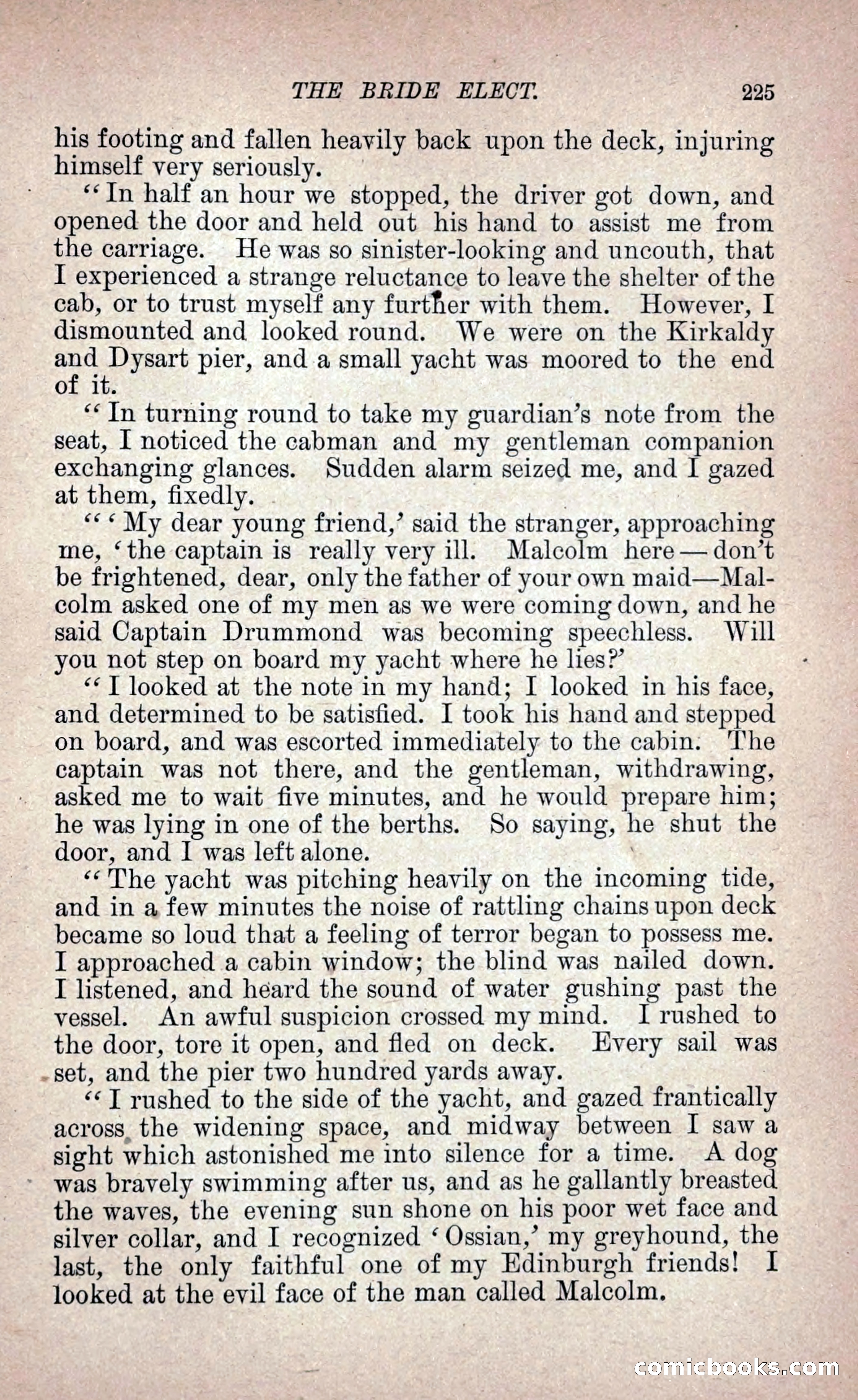The Bride Elect: or, The Doom of the Double Roses — page 234 of 265