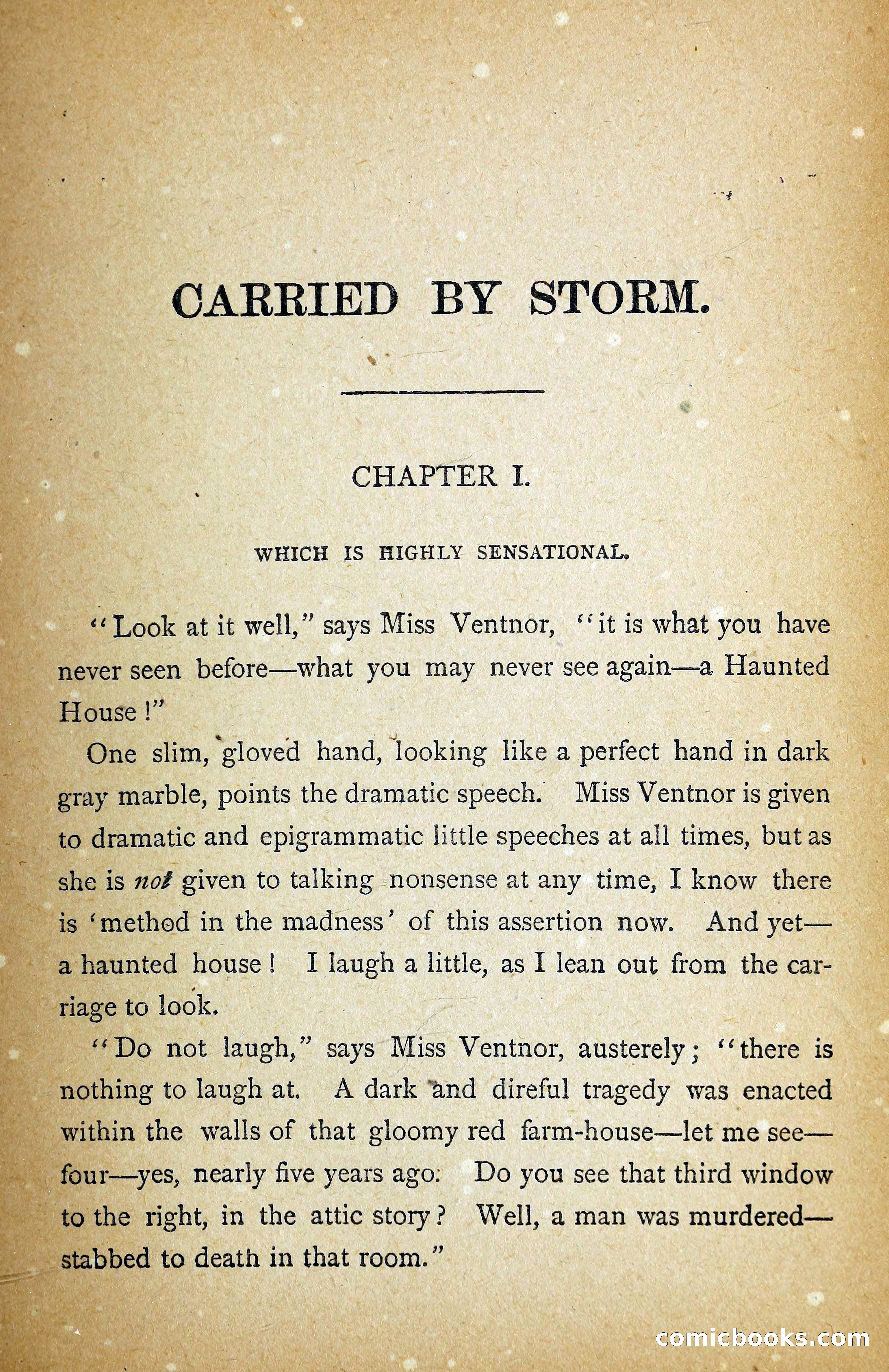 Carried by Storm: A Novel — page 14 of 107
