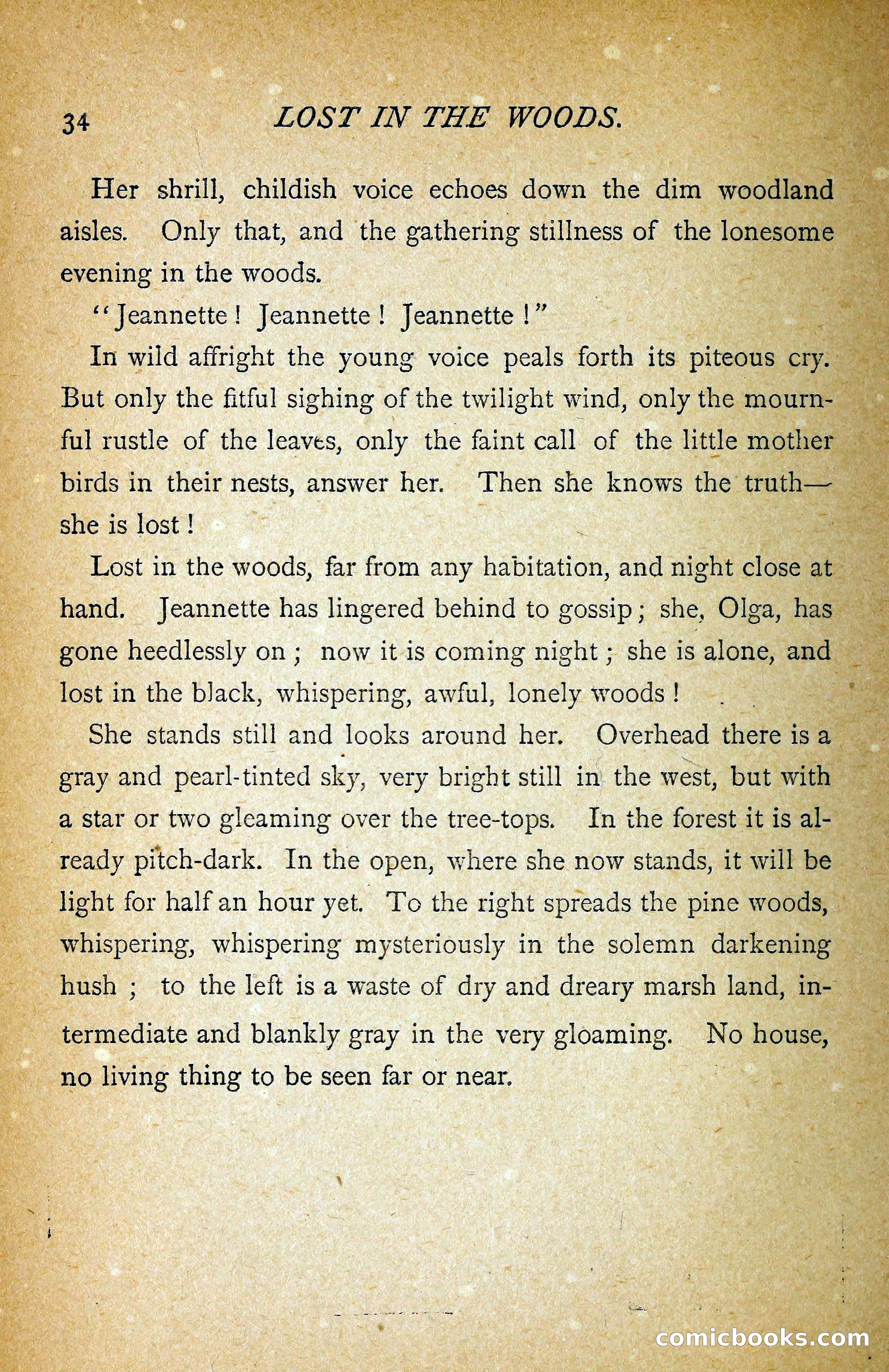 Carried by Storm: A Novel — page 39 of 107