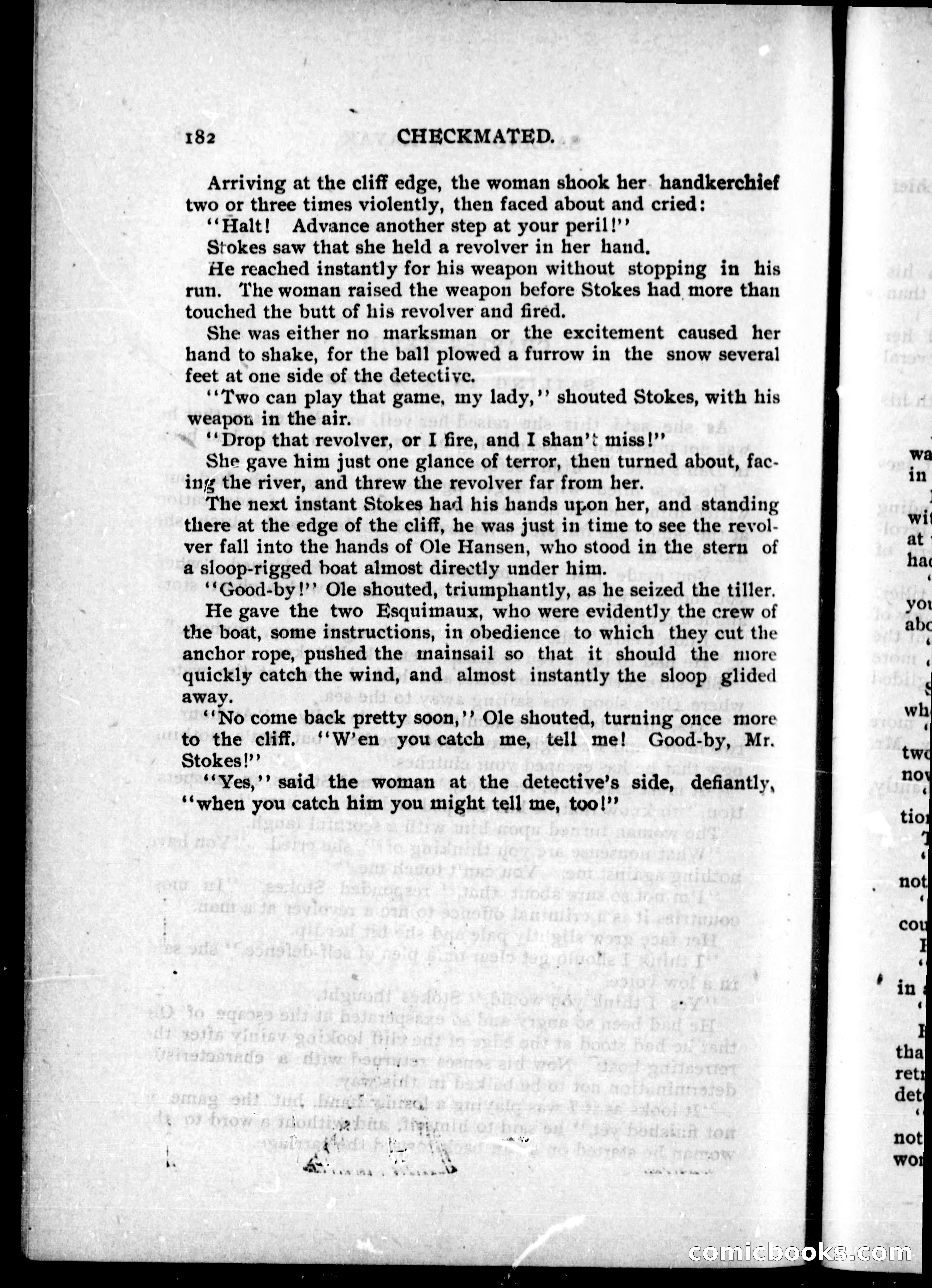 The Internet Detective Library — page 191 of 236