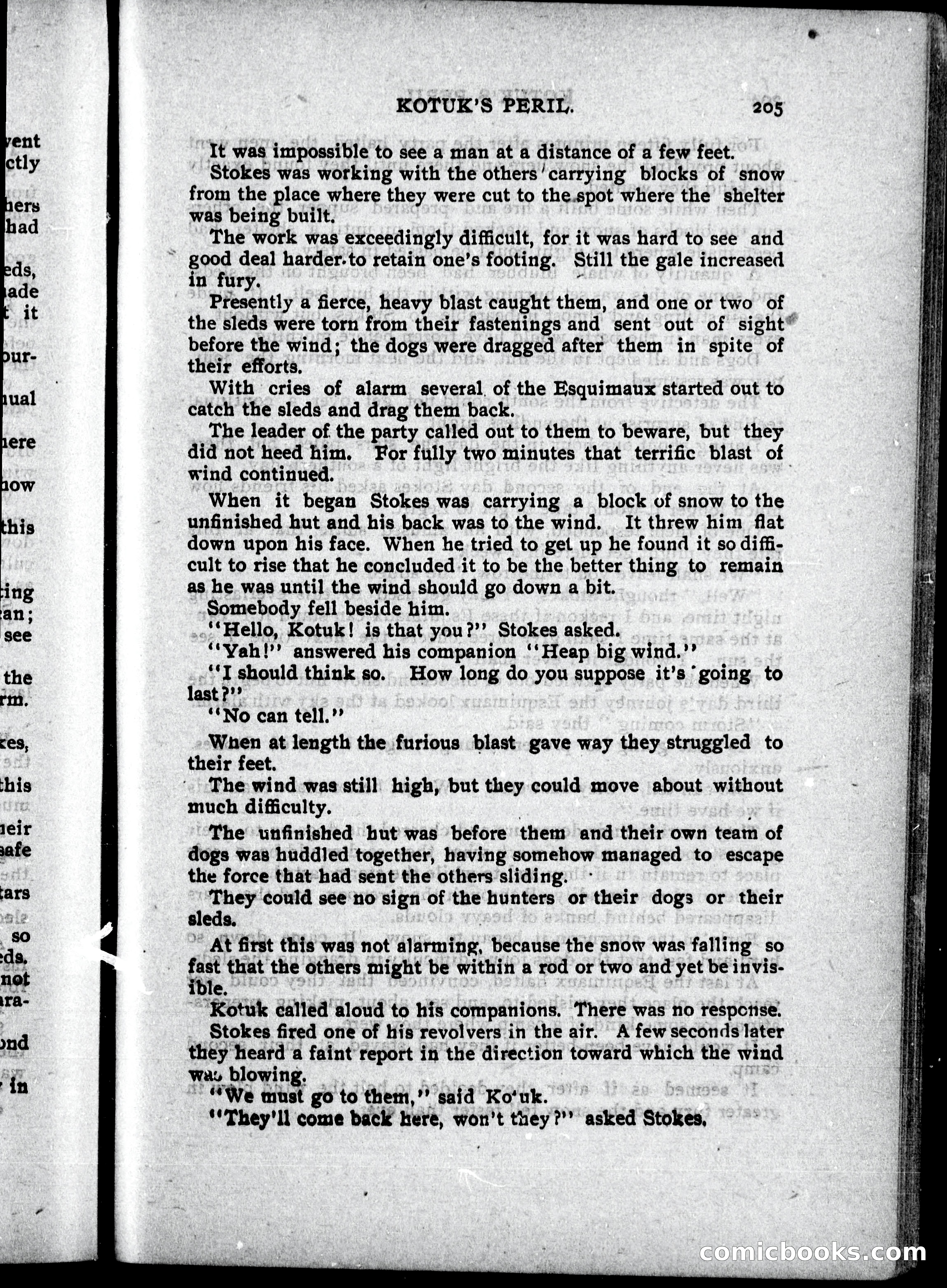 The Internet Detective Library — page 217 of 236