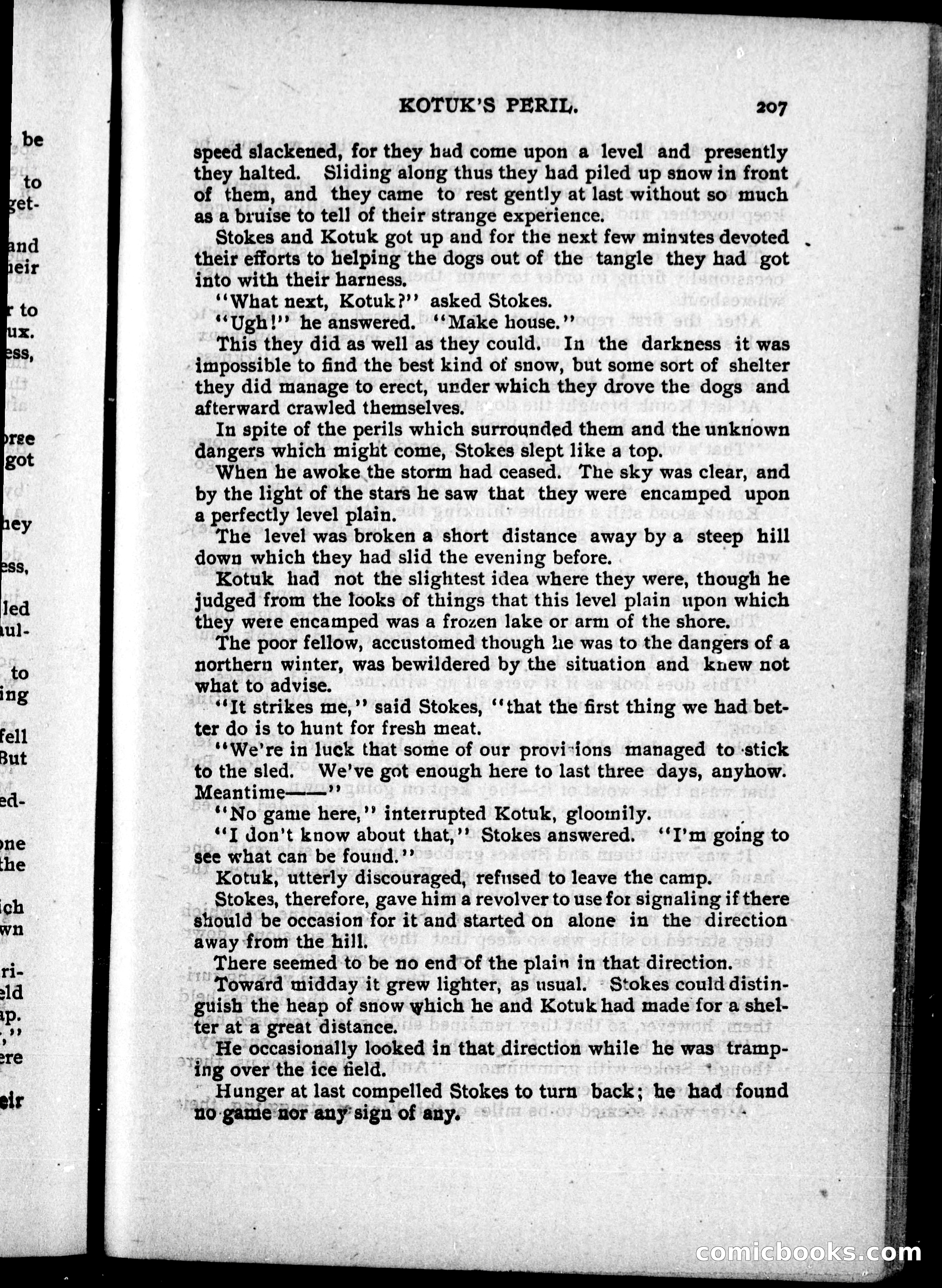The Internet Detective Library — page 219 of 236