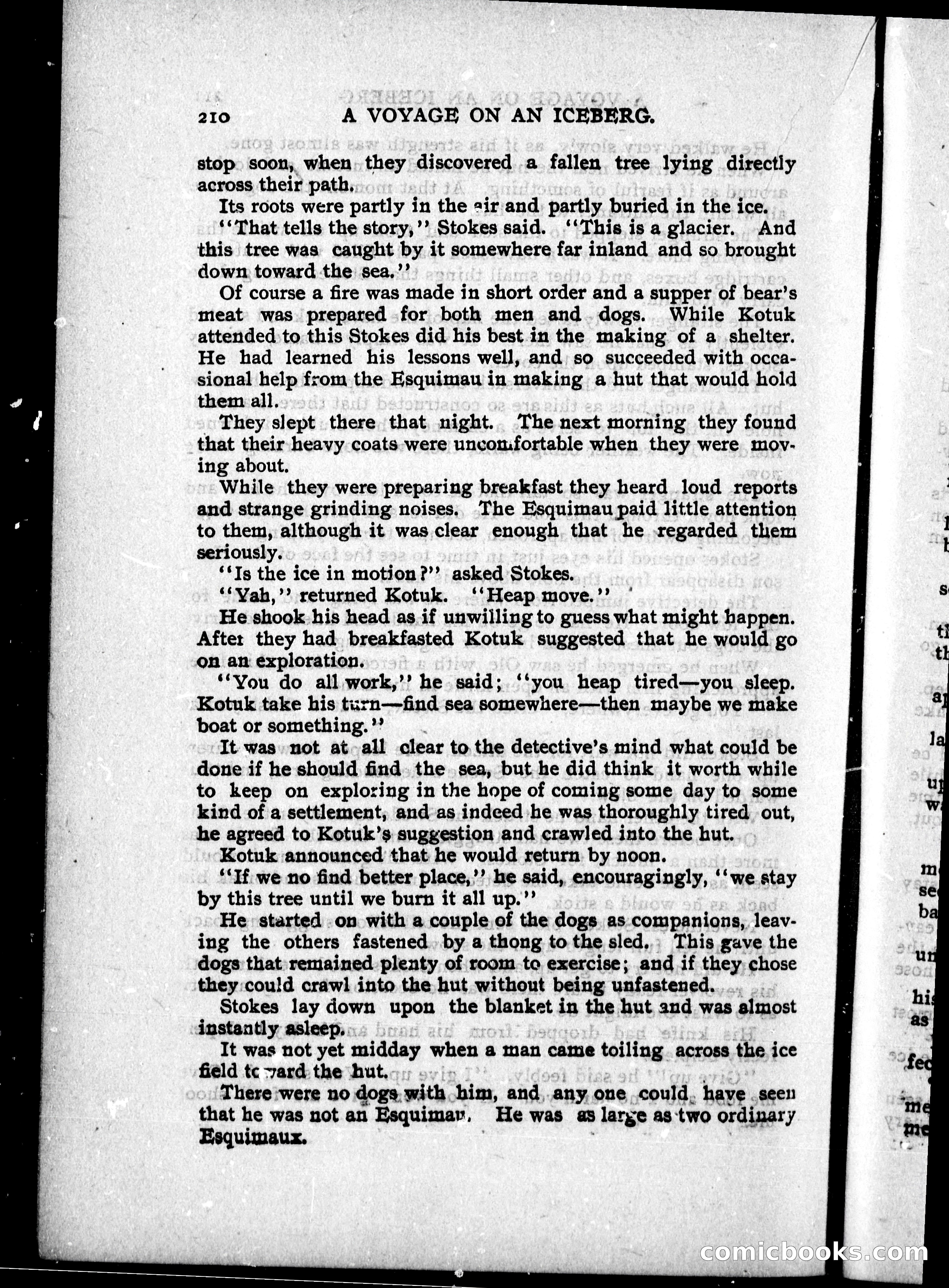 The Internet Detective Library — page 222 of 236