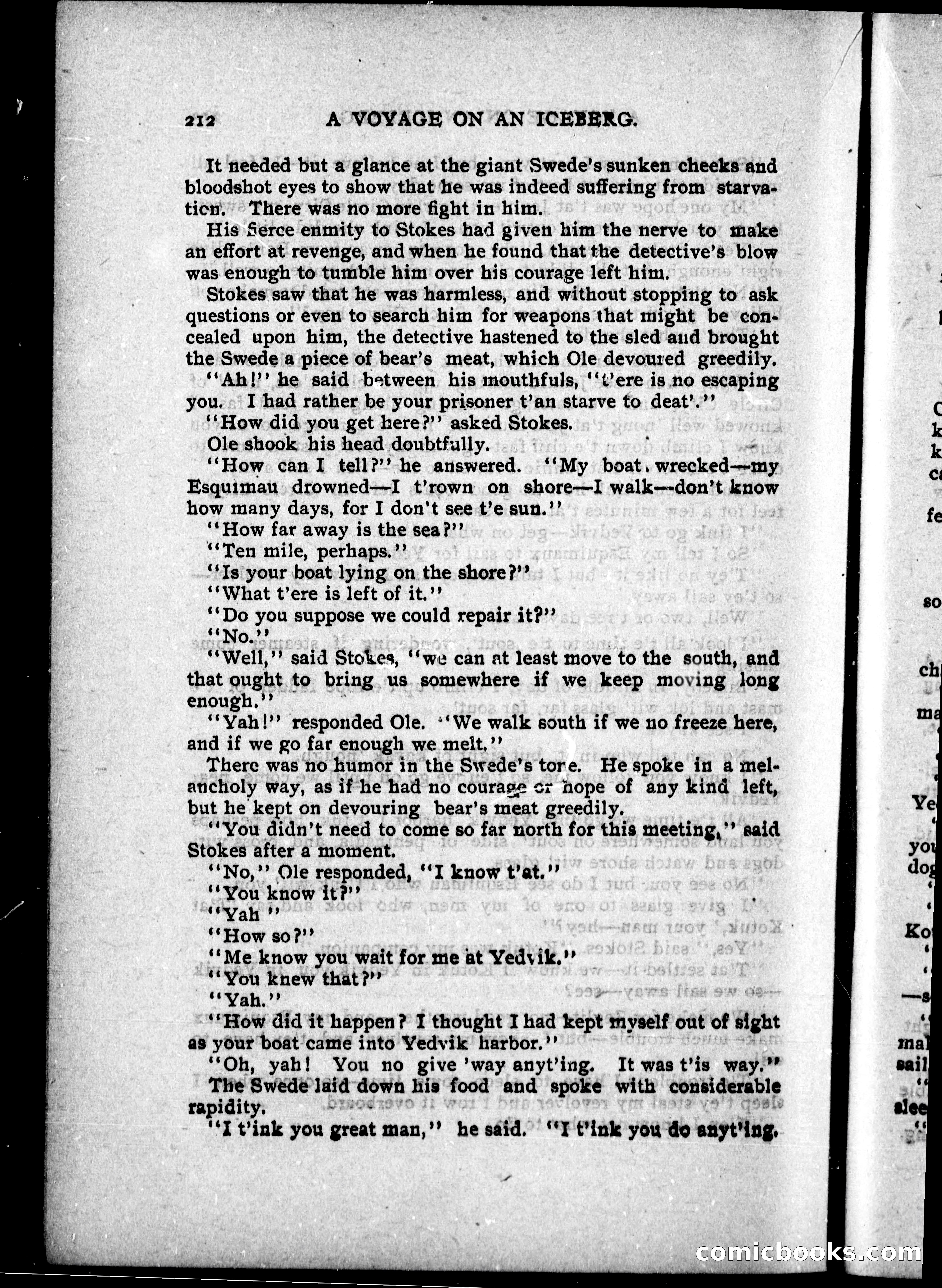 The Internet Detective Library — page 224 of 236