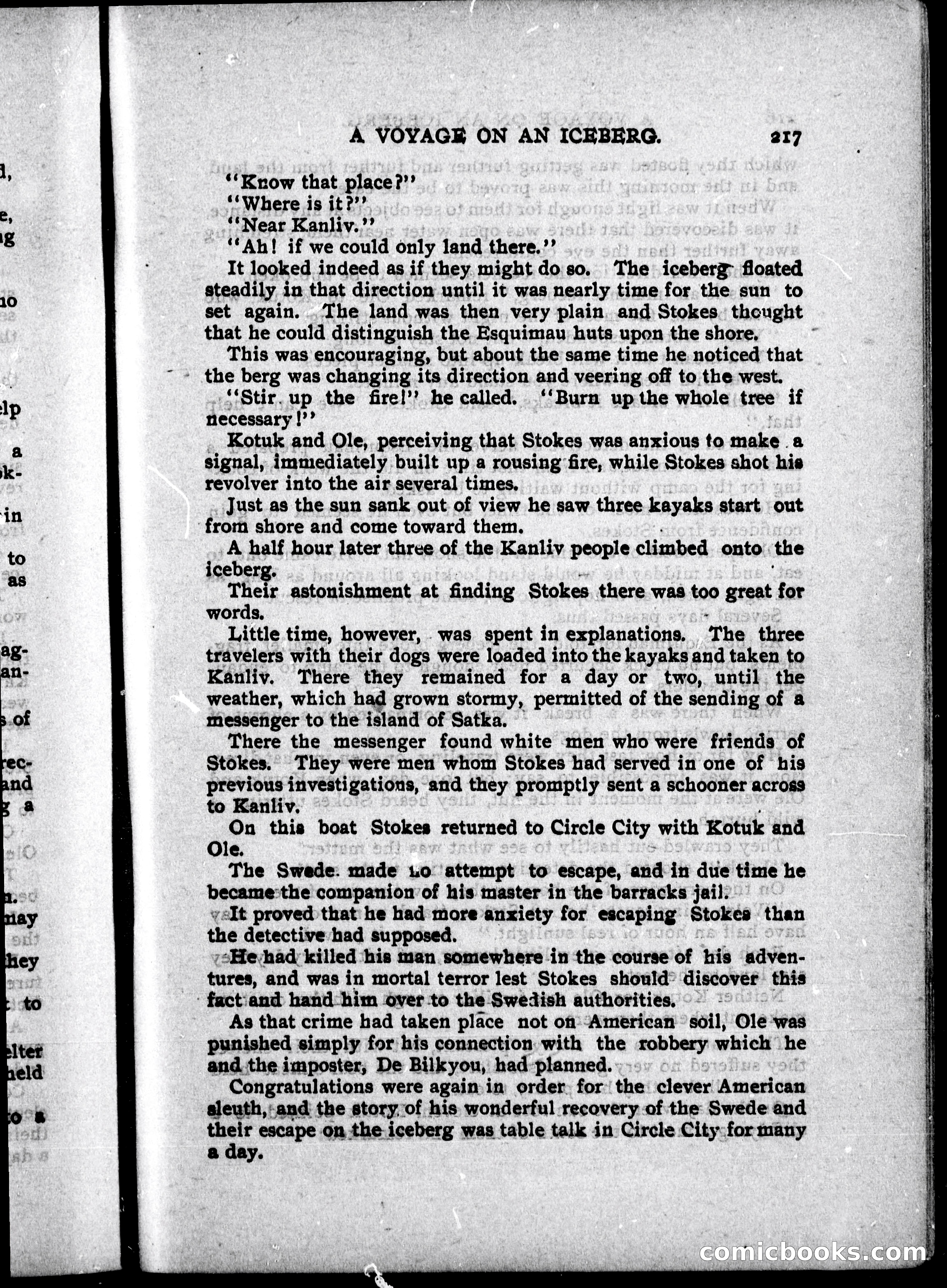 The Internet Detective Library — page 229 of 236