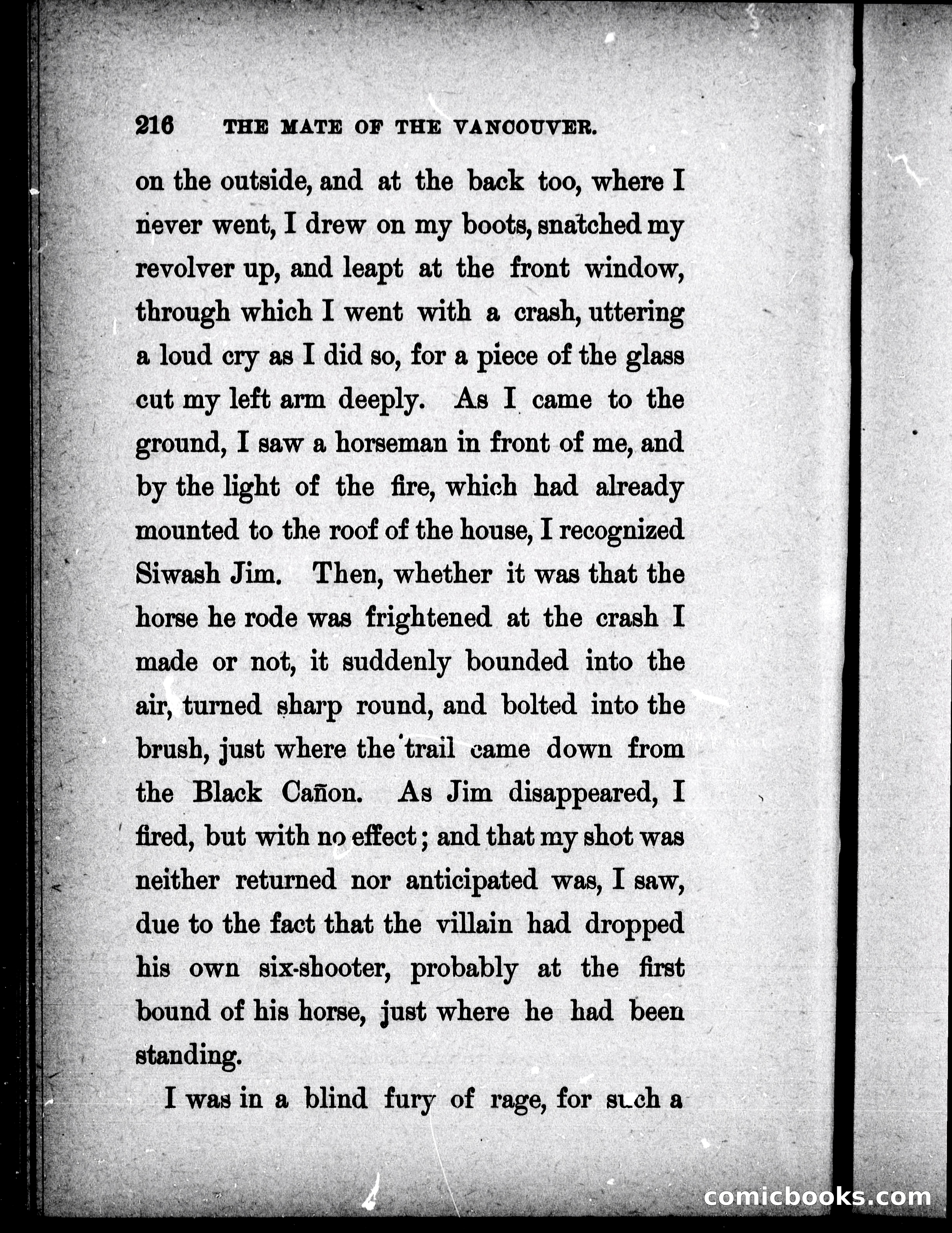 The Mate of the Vancouver — page 231 of 297