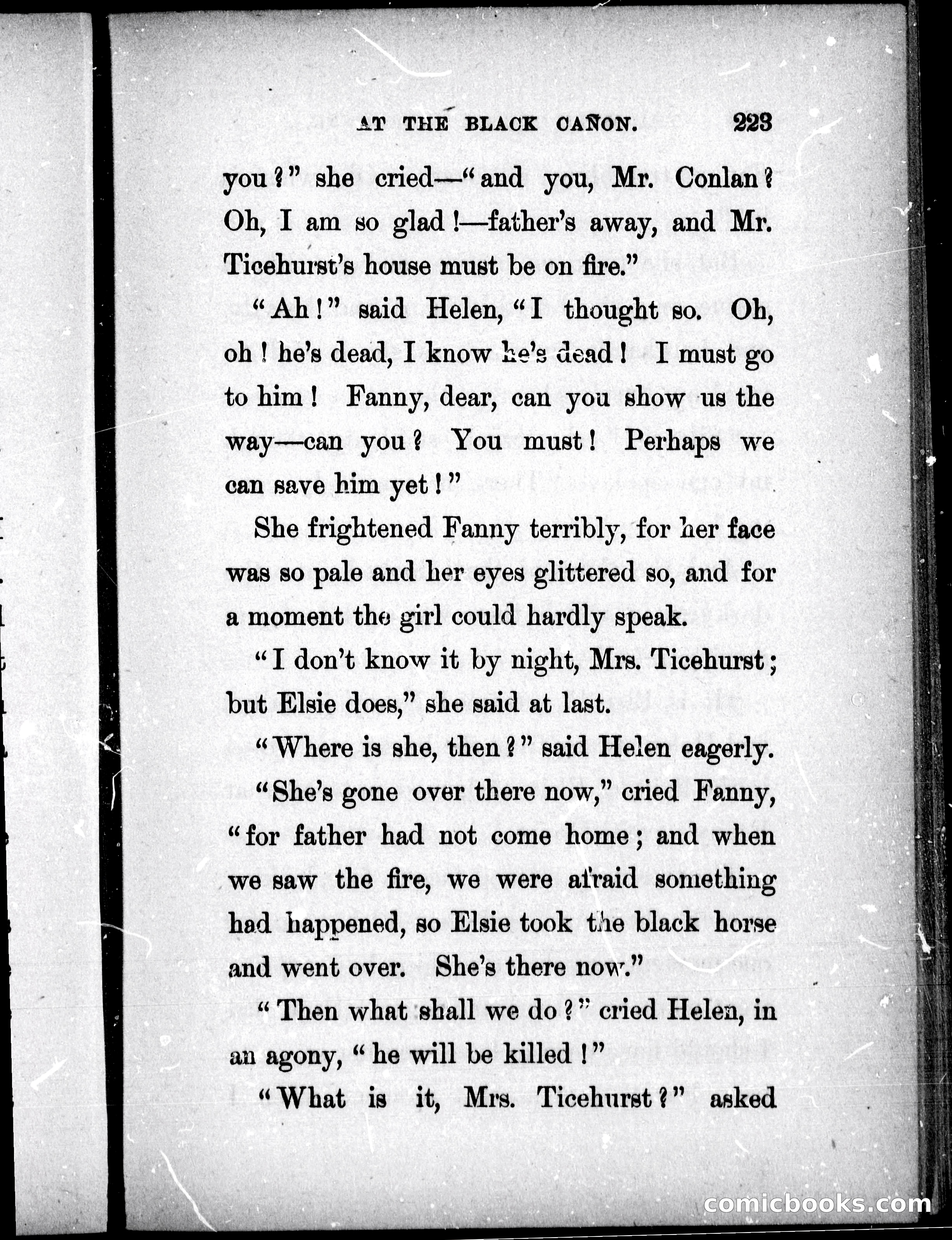 The Mate of the Vancouver — page 238 of 297