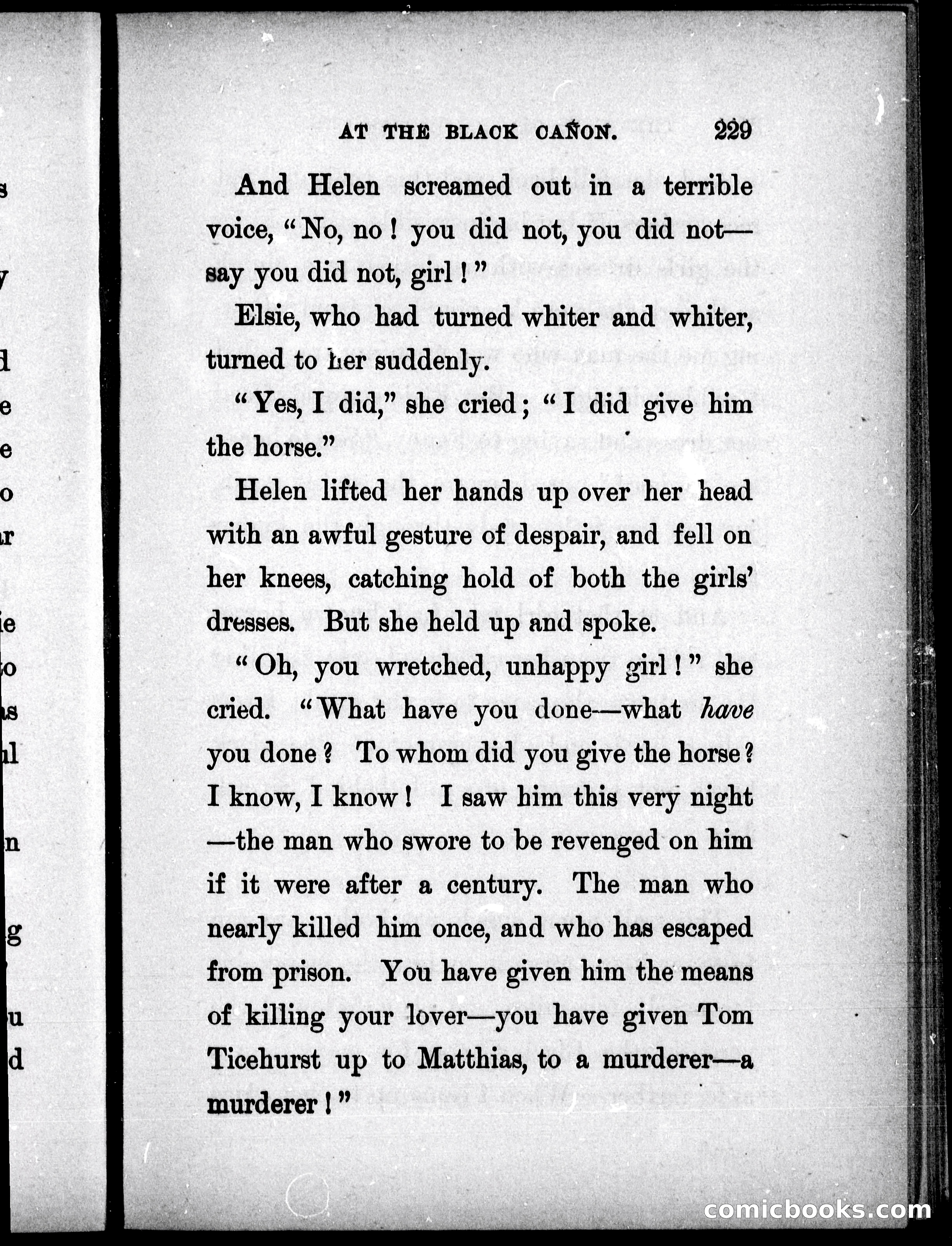 The Mate of the Vancouver — page 244 of 297