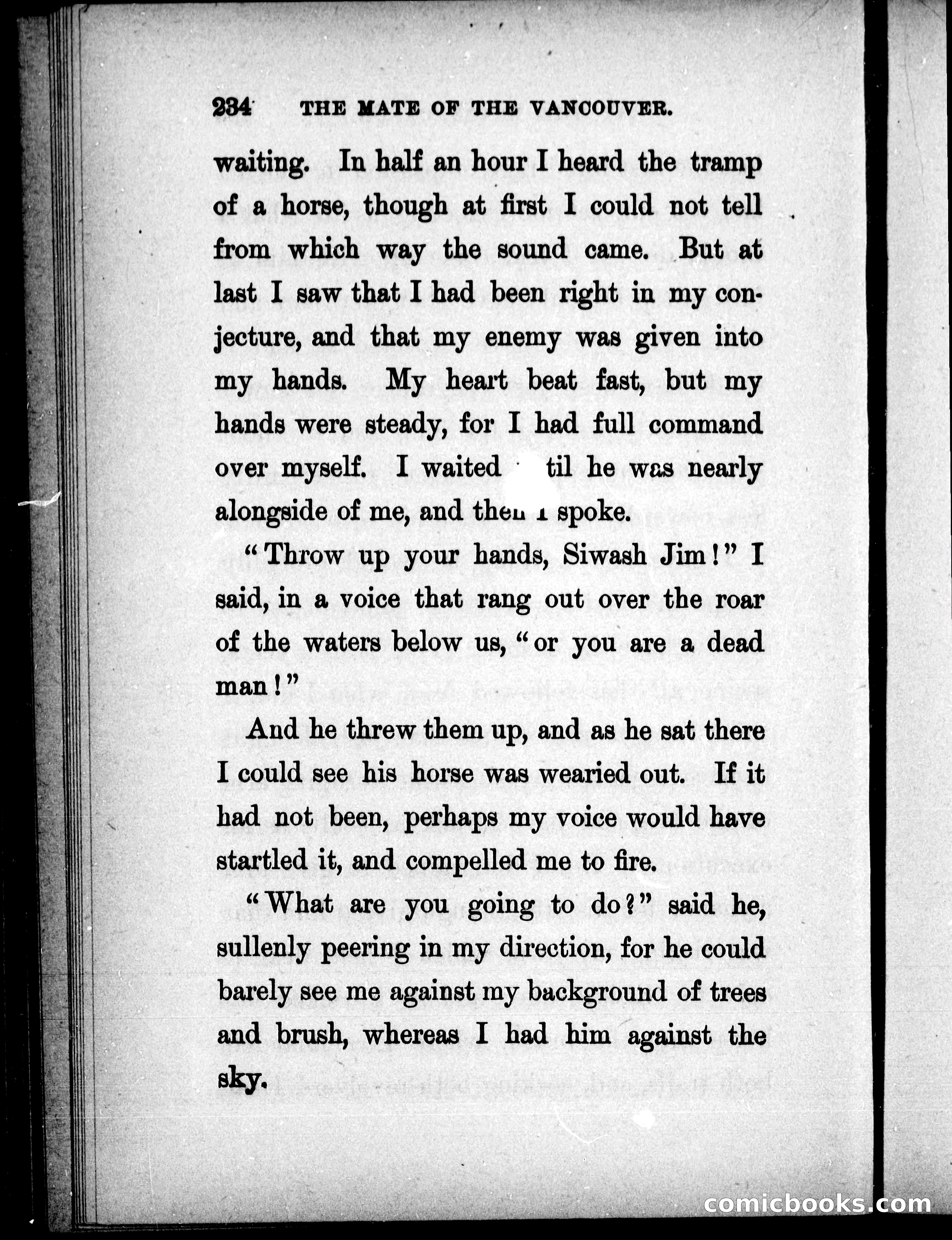 The Mate of the Vancouver — page 249 of 297