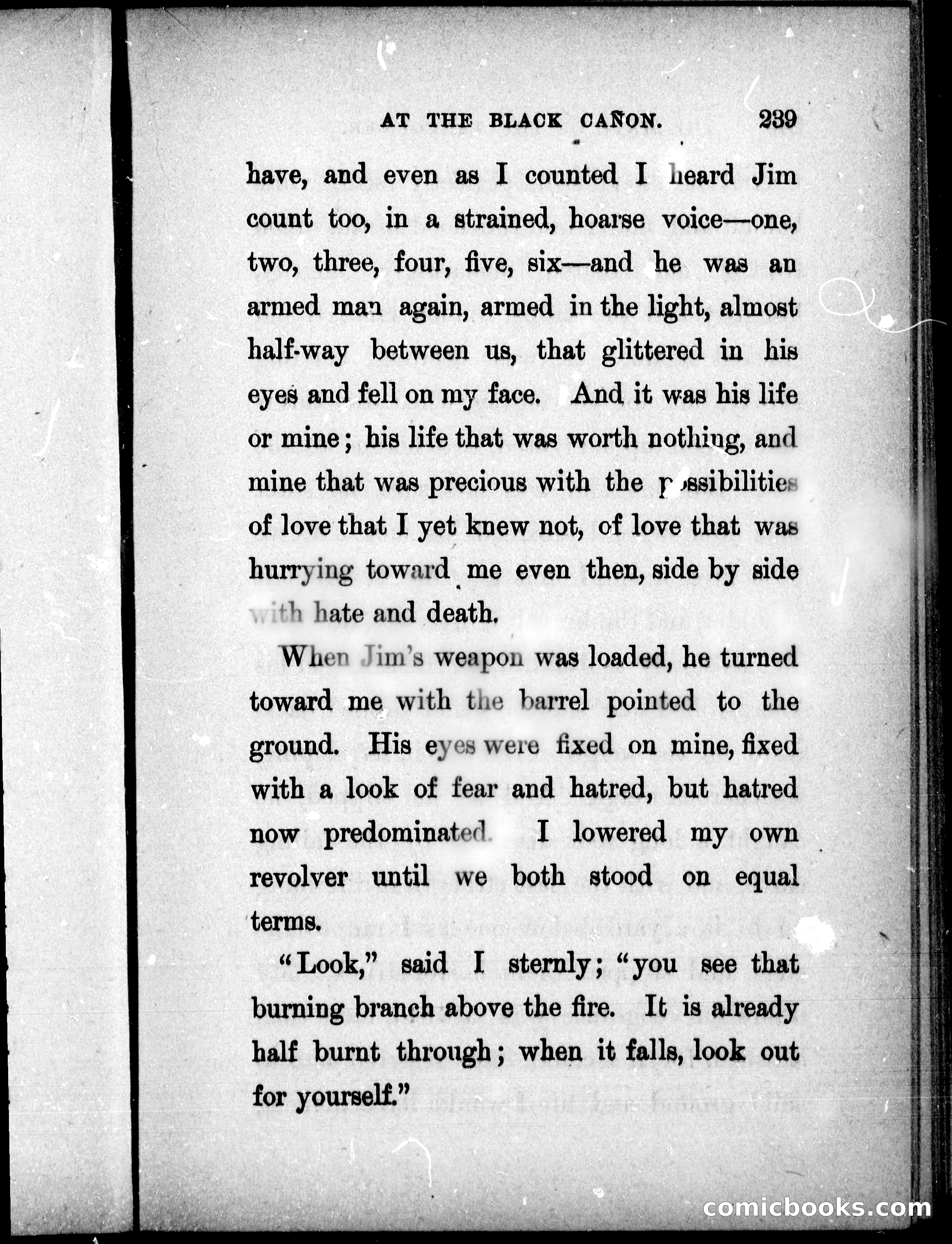 The Mate of the Vancouver — page 254 of 297