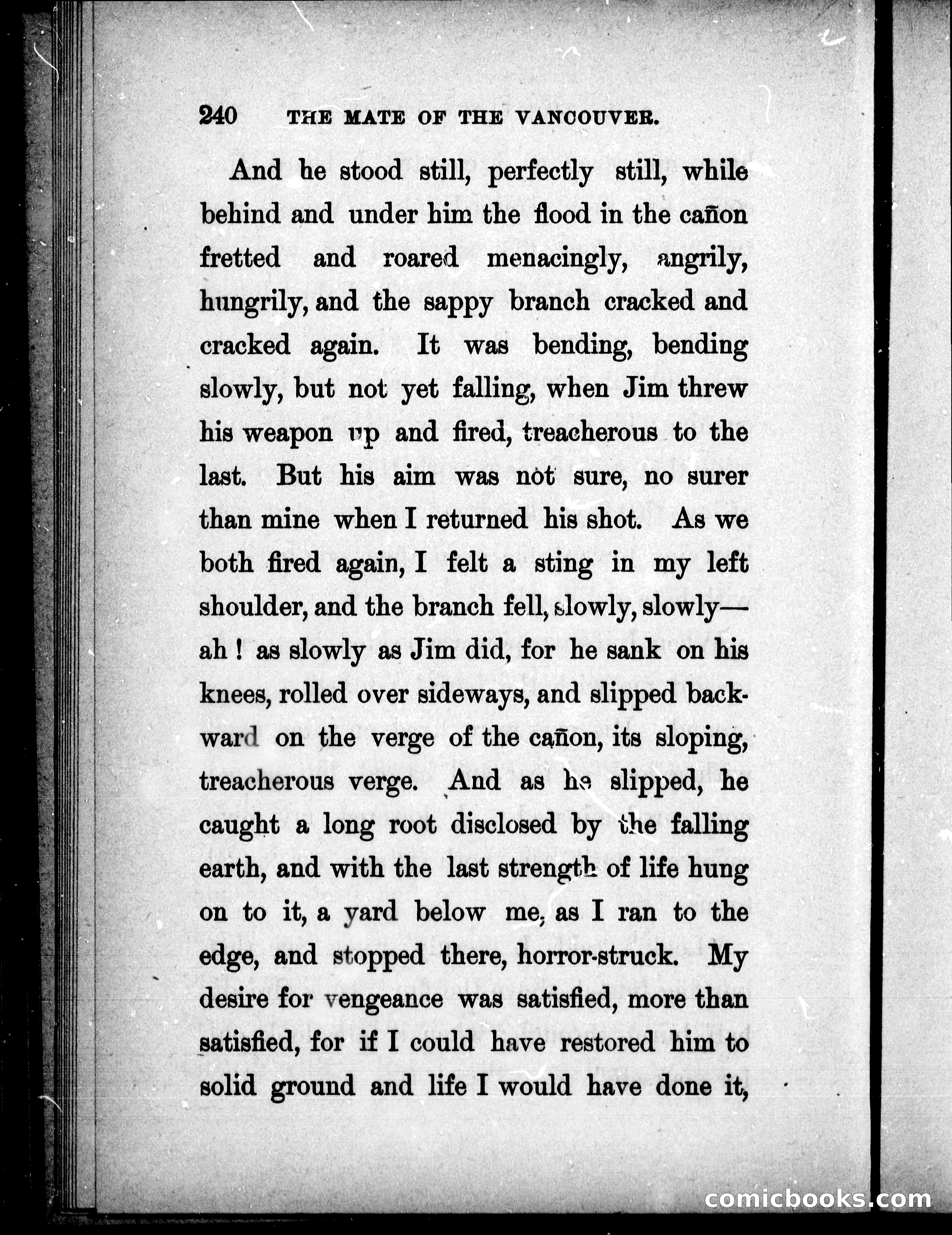 The Mate of the Vancouver — page 255 of 297