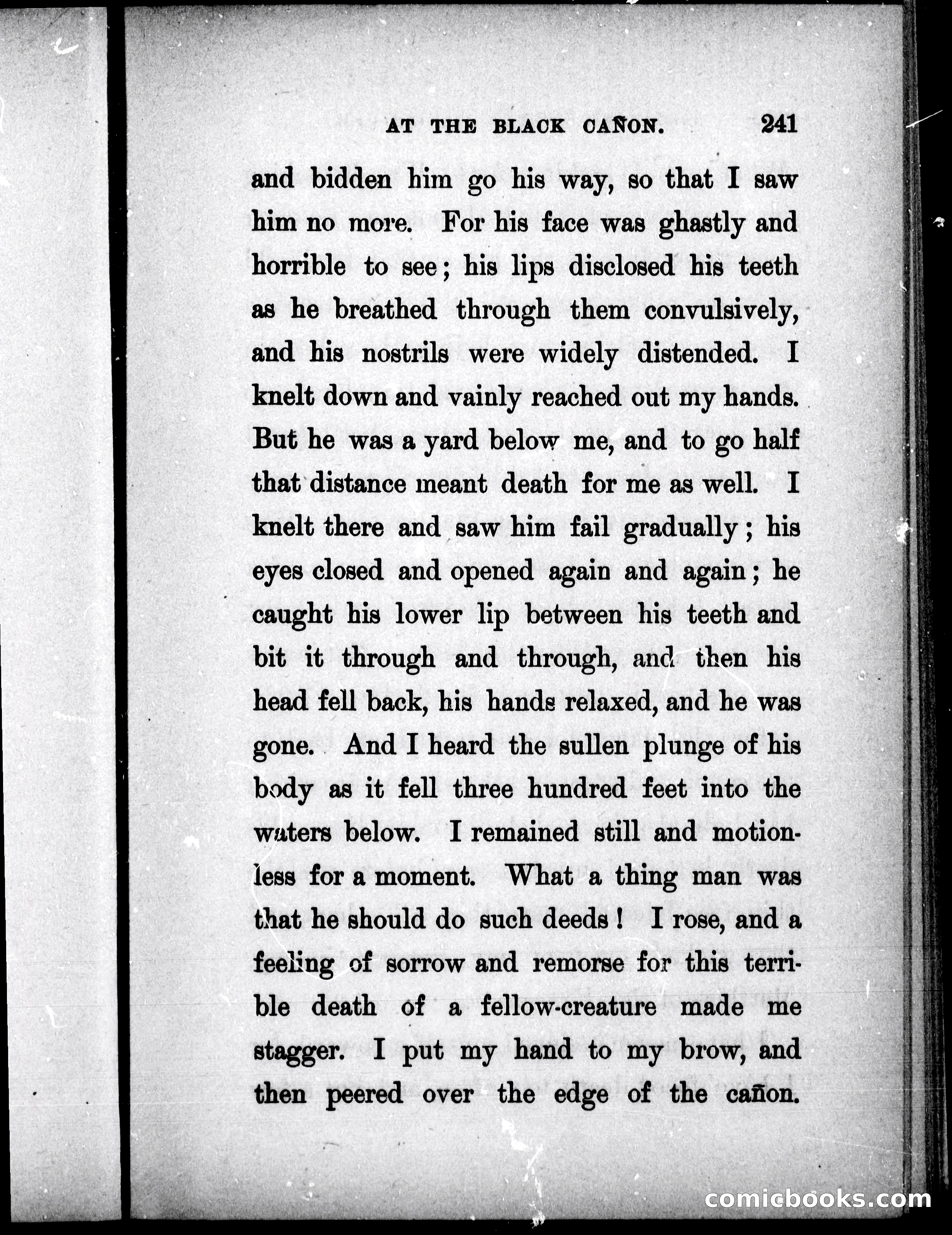 The Mate of the Vancouver — page 256 of 297