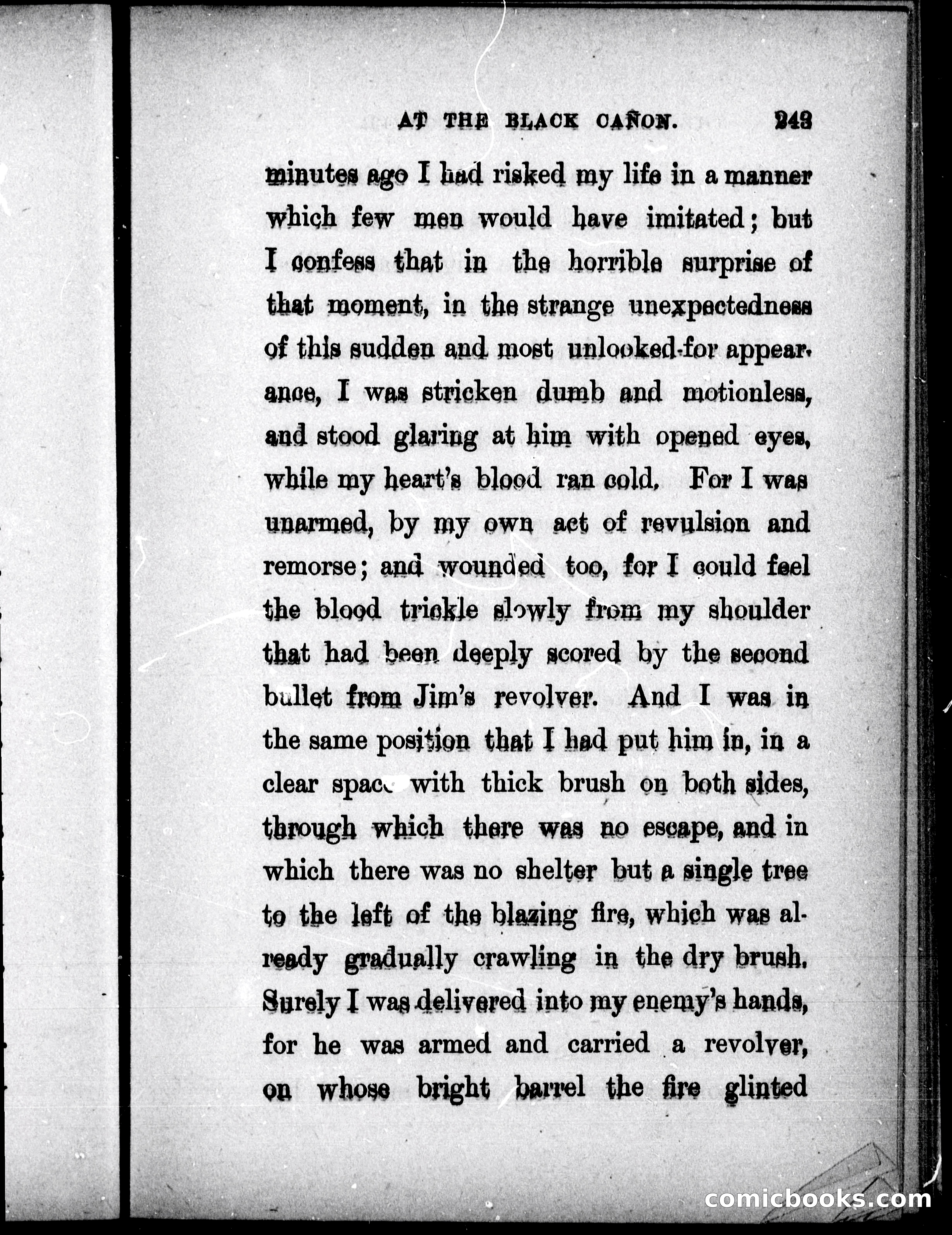 The Mate of the Vancouver — page 258 of 297