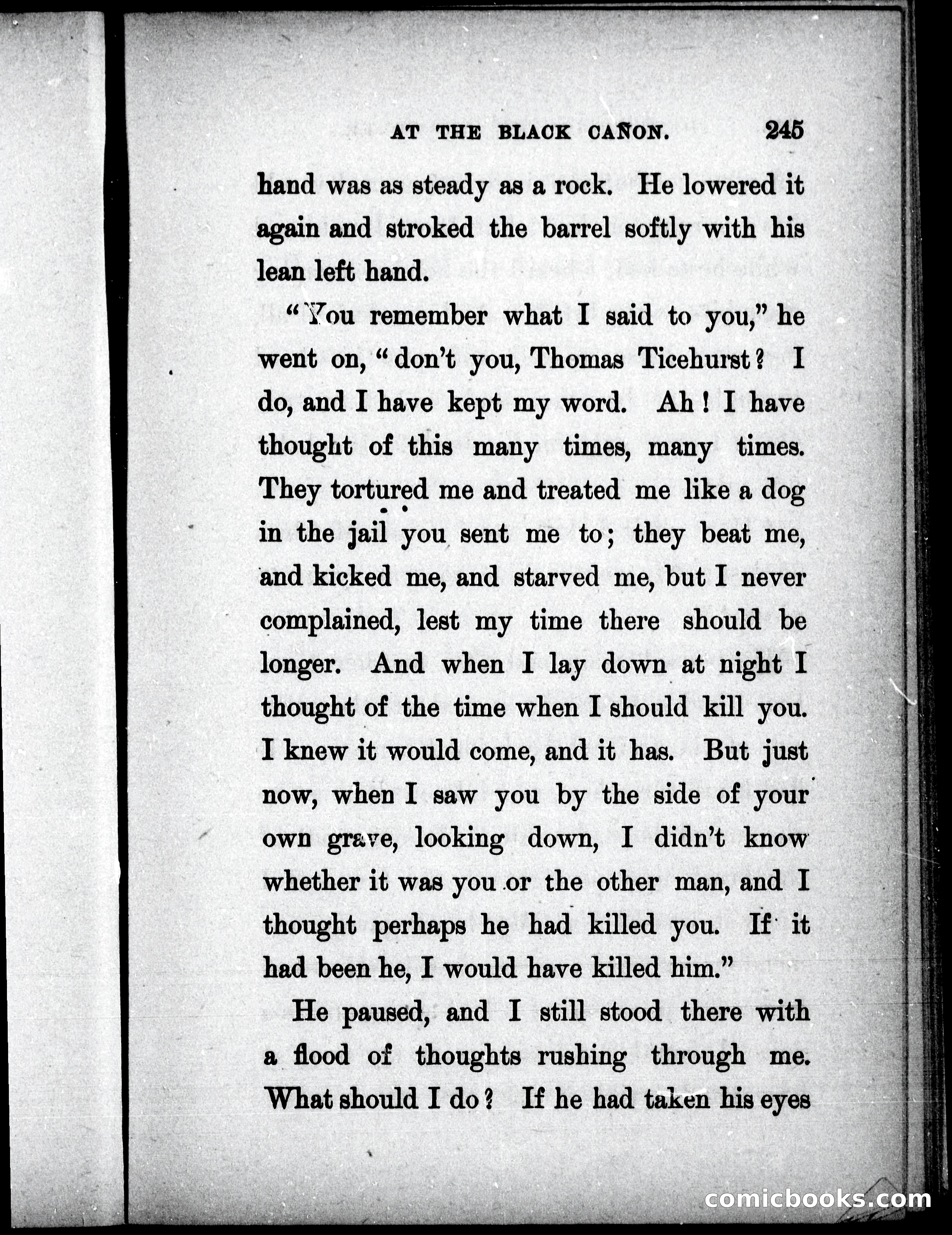 The Mate of the Vancouver — page 260 of 297