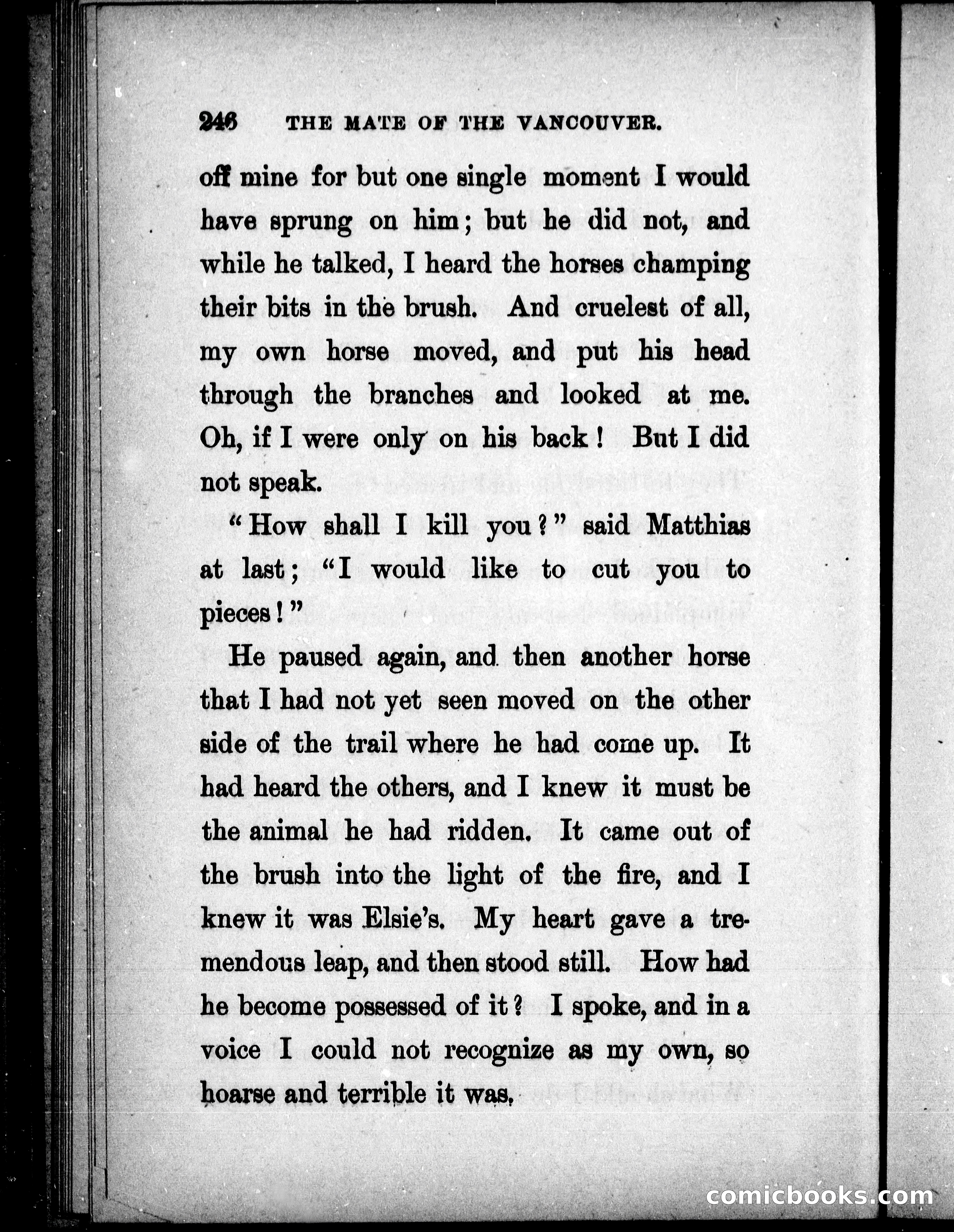 The Mate of the Vancouver — page 261 of 297