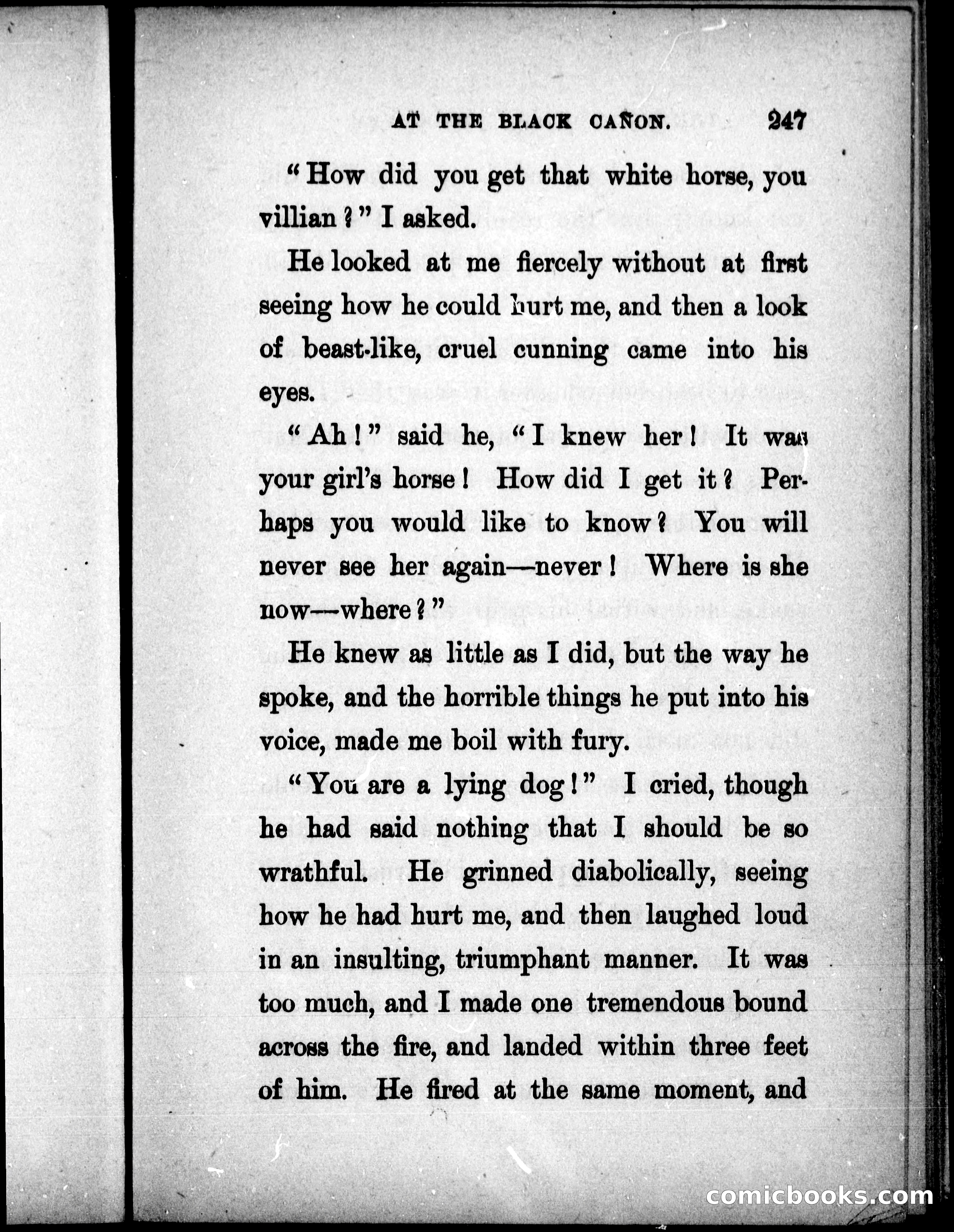 The Mate of the Vancouver — page 262 of 297