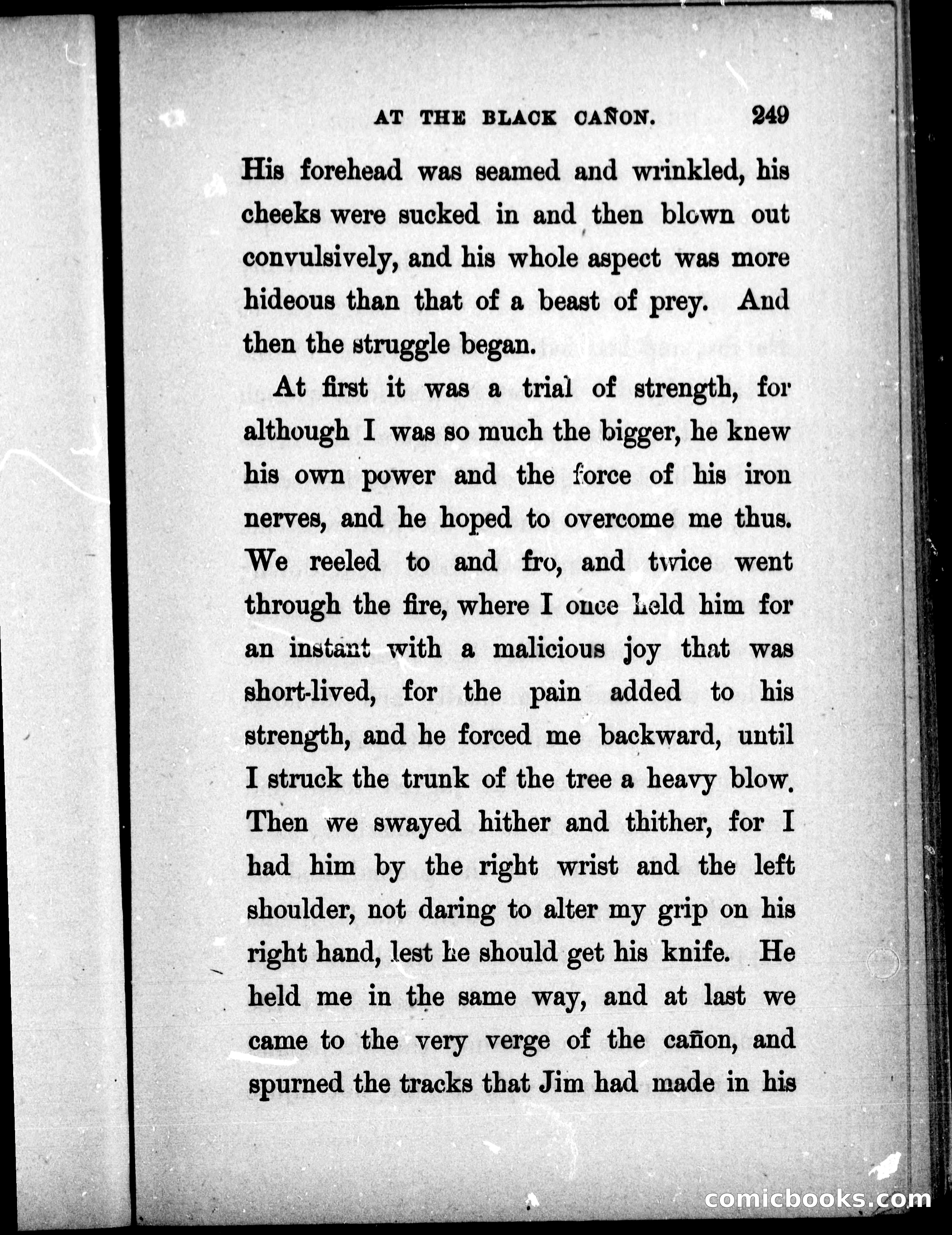 The Mate of the Vancouver — page 264 of 297