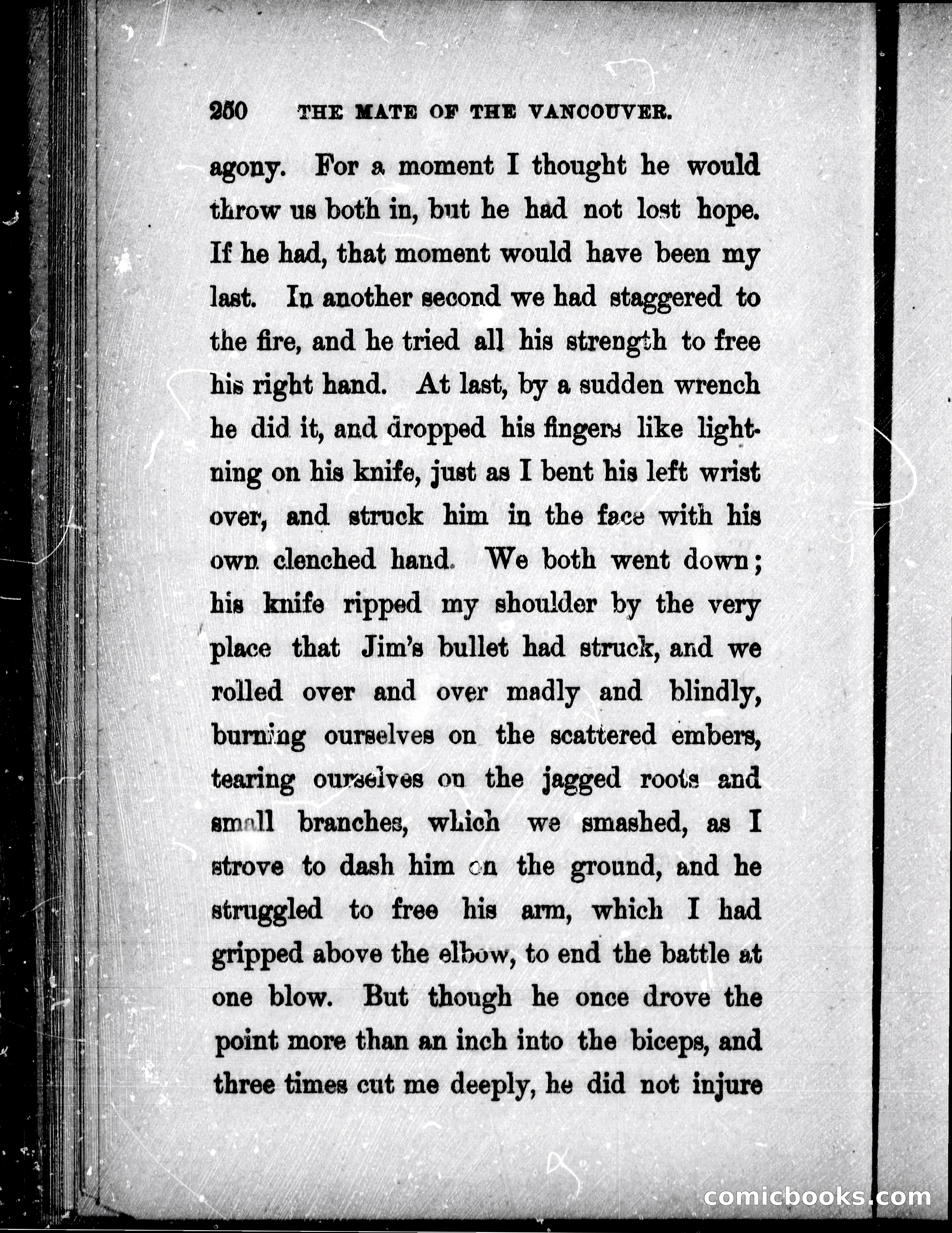 The Mate of the Vancouver — page 265 of 297