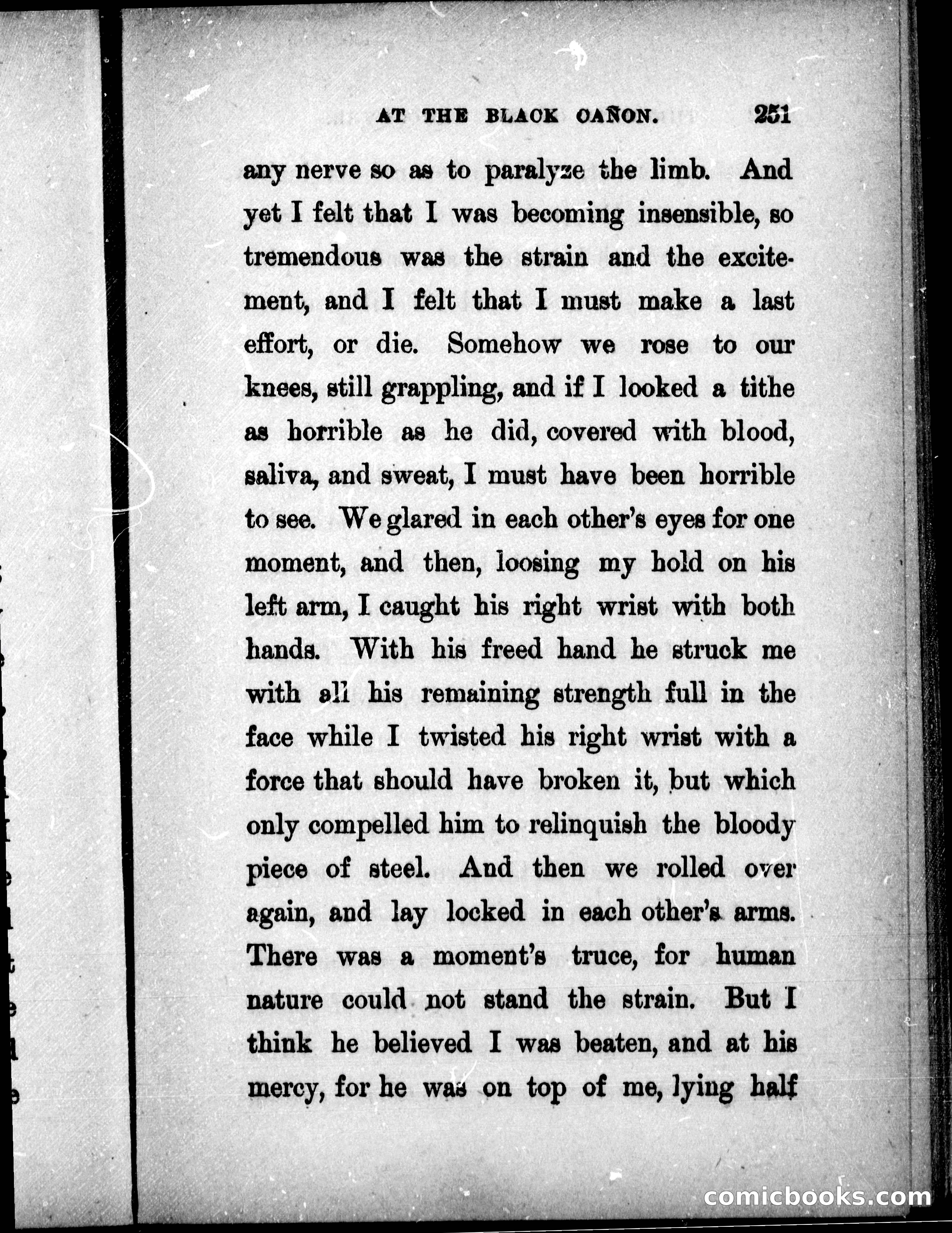 The Mate of the Vancouver — page 266 of 297