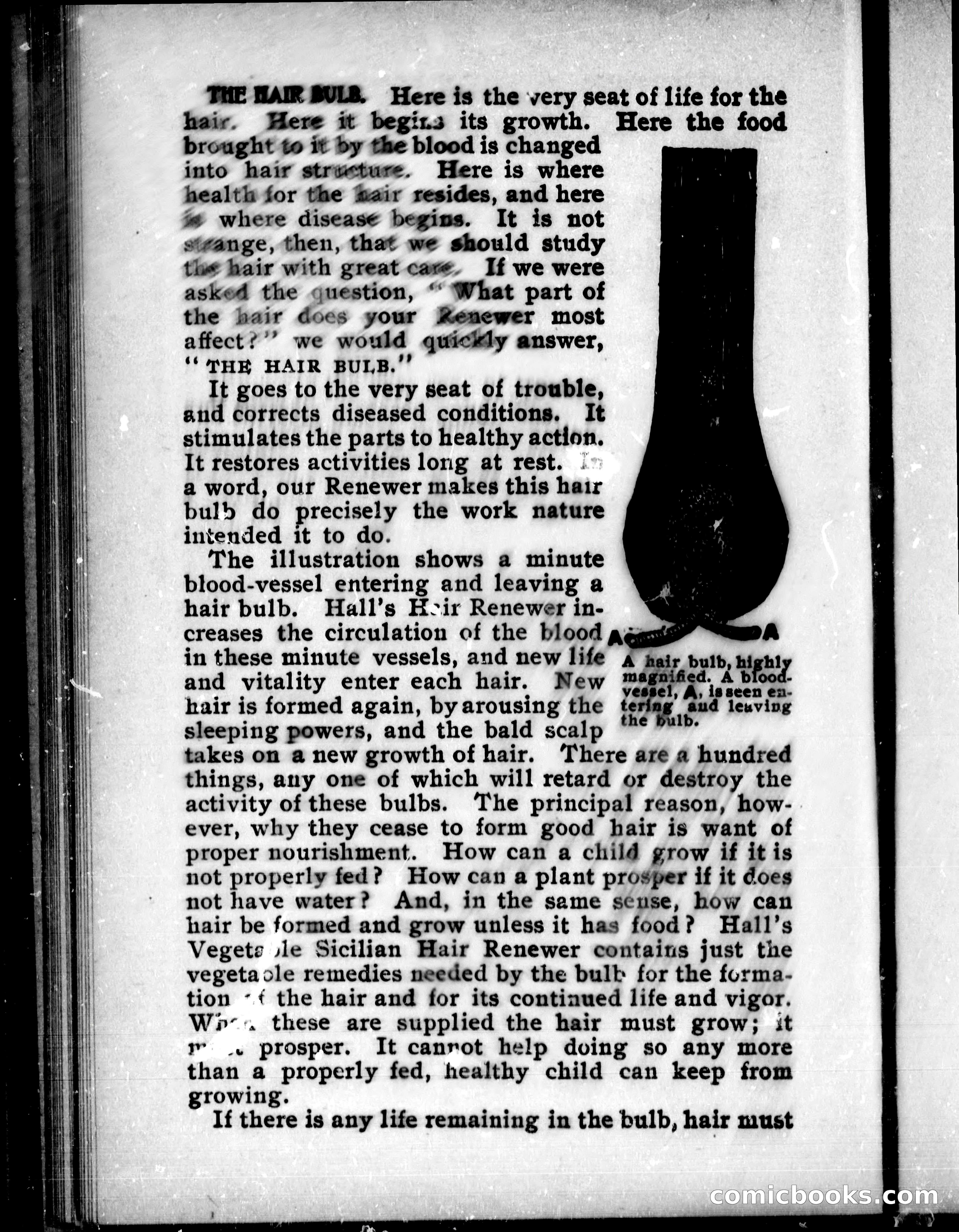 The Mate of the Vancouver — page 281 of 297