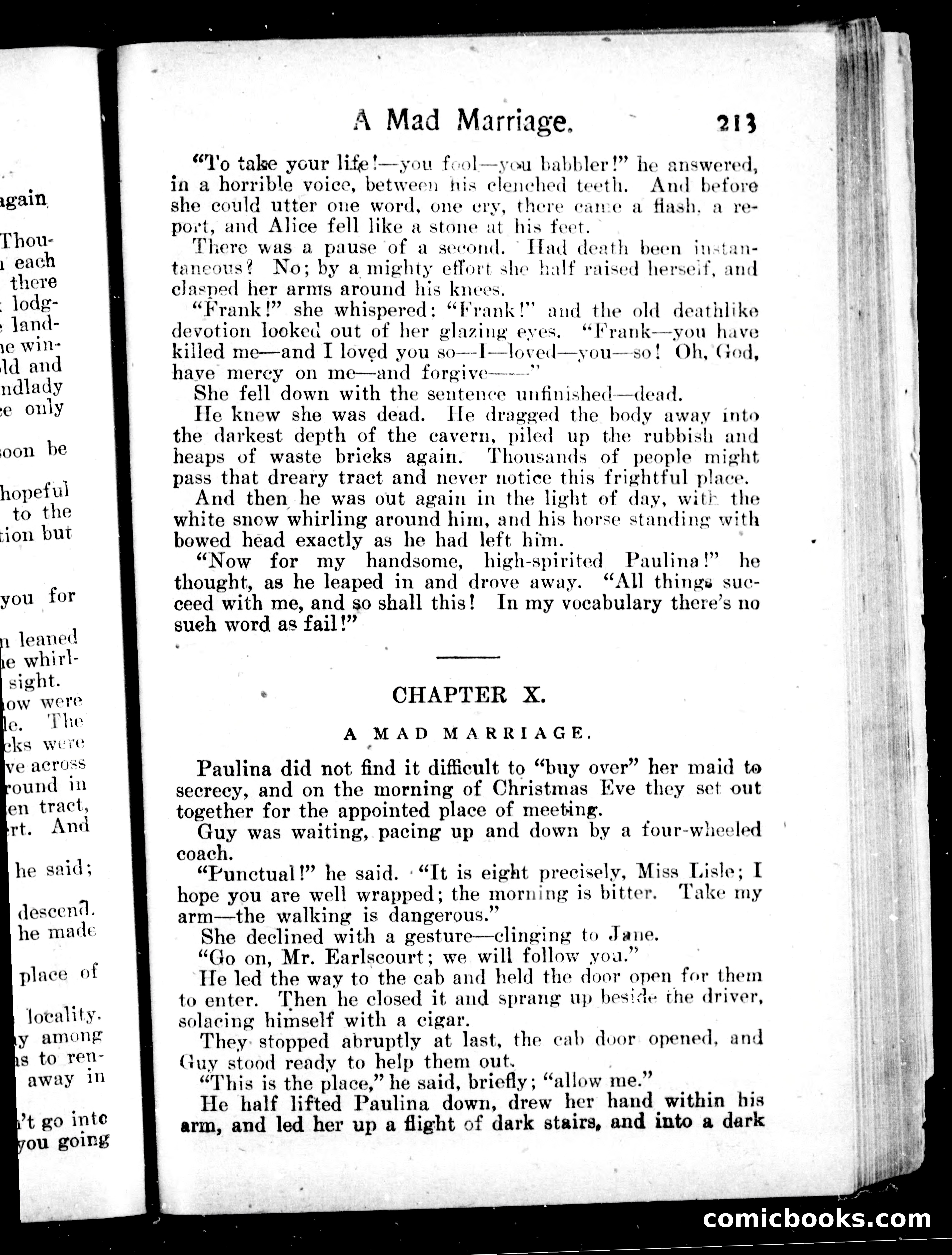 Guy Earlscourt's Wife — page 225 of 304