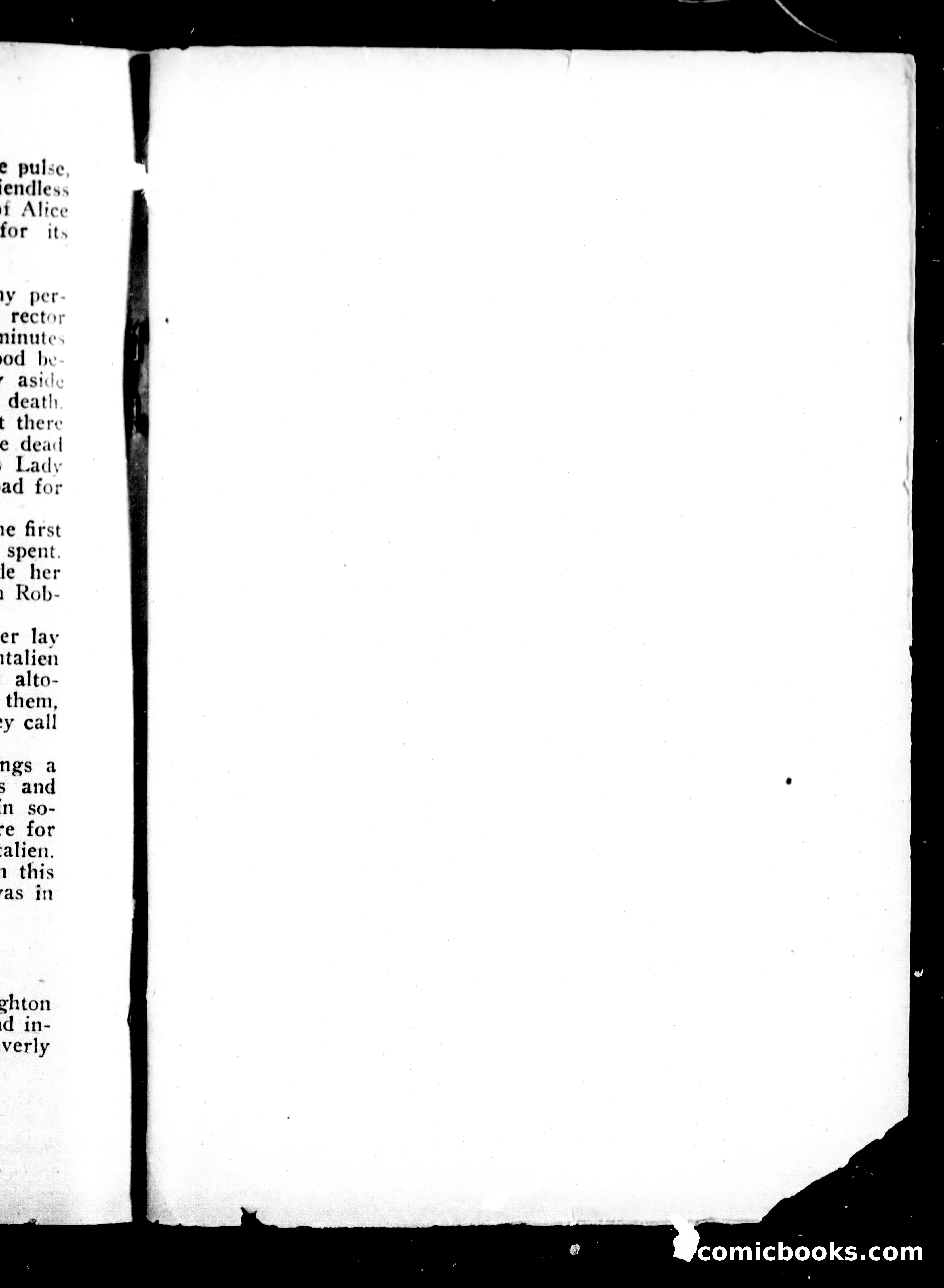Guy Earlscourt's Wife — page 304 of 304