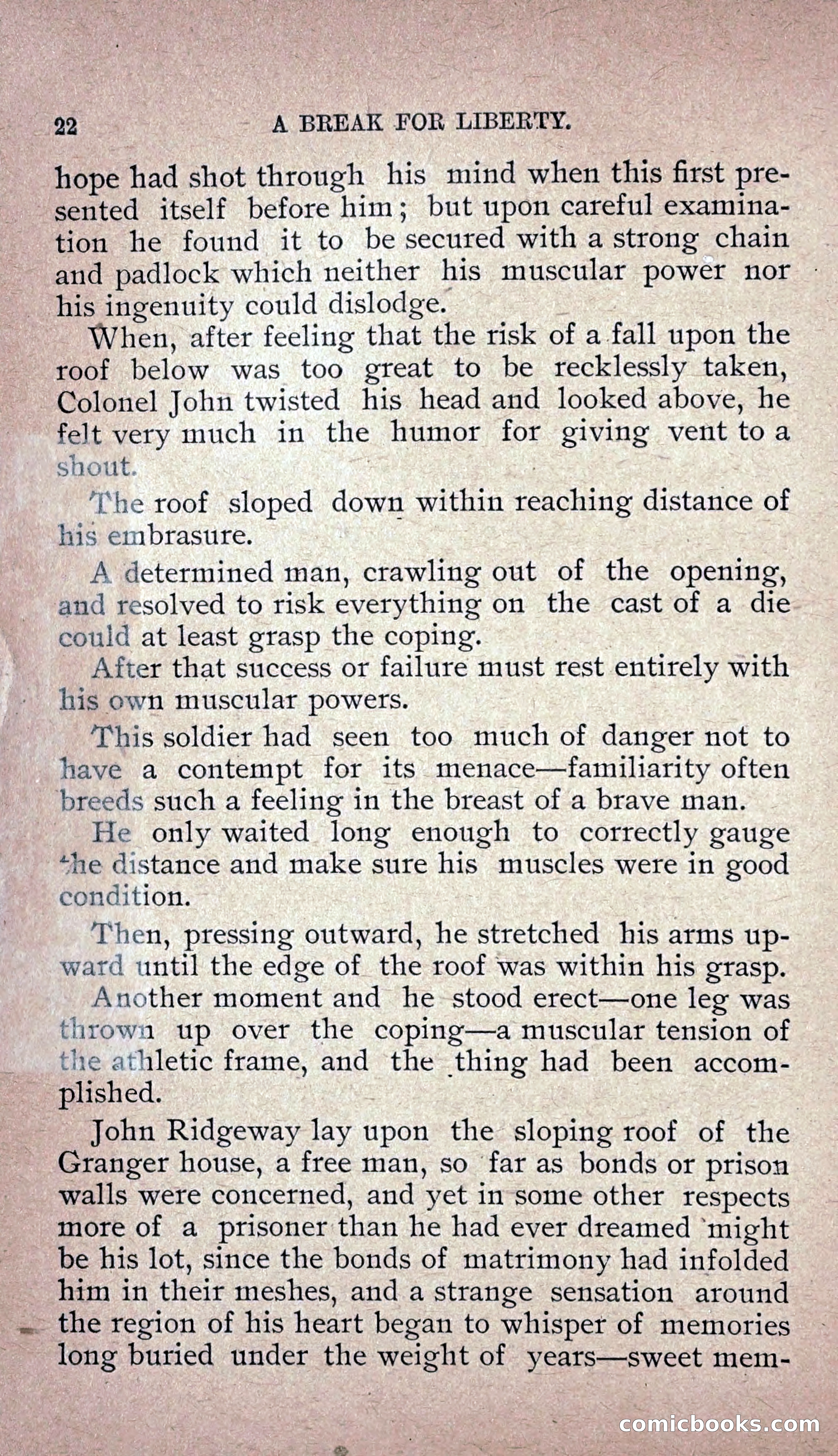 The Colonel's Wife — page 29 of 201
