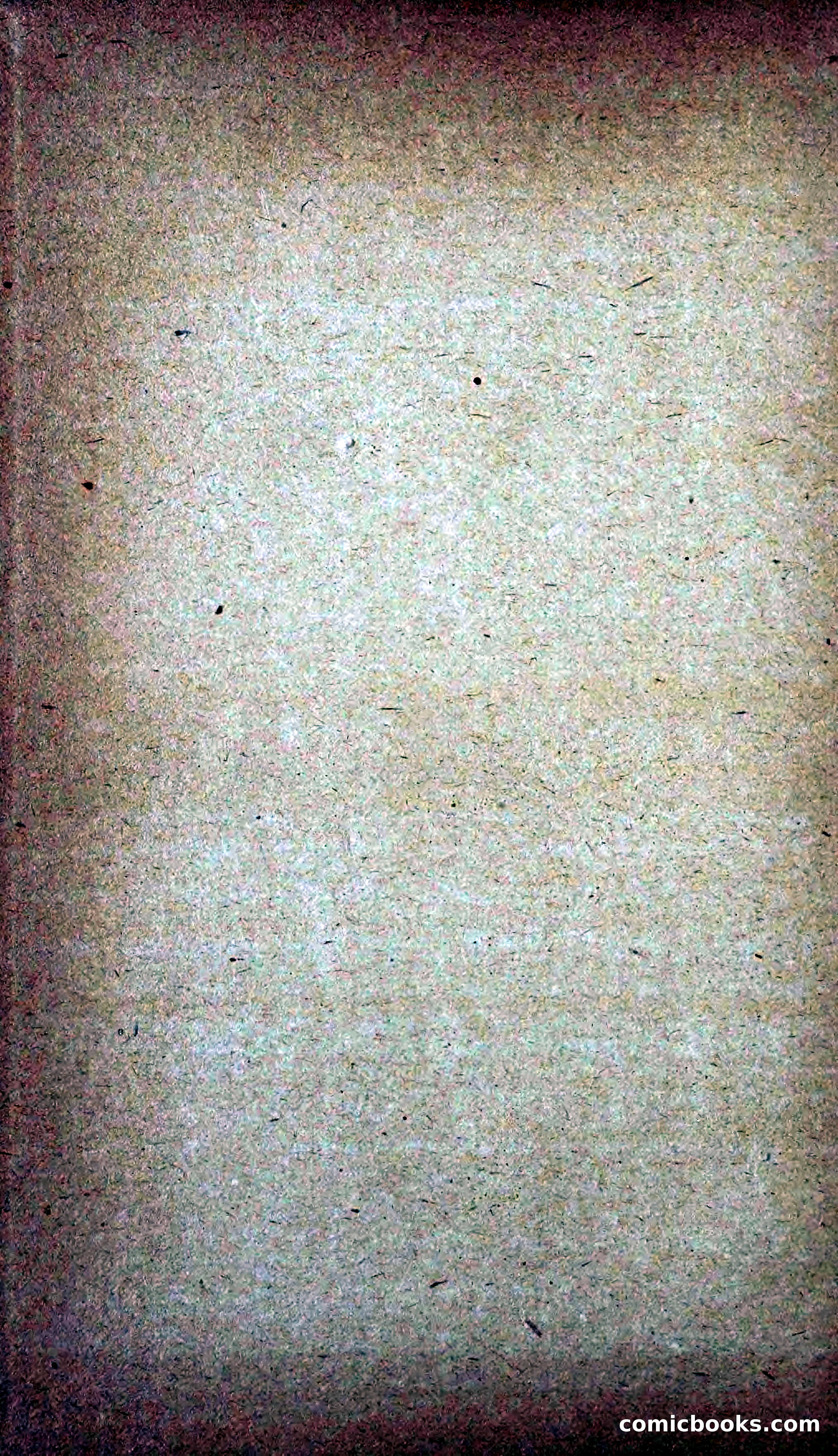 The Colonel's Wife — page 199 of 201