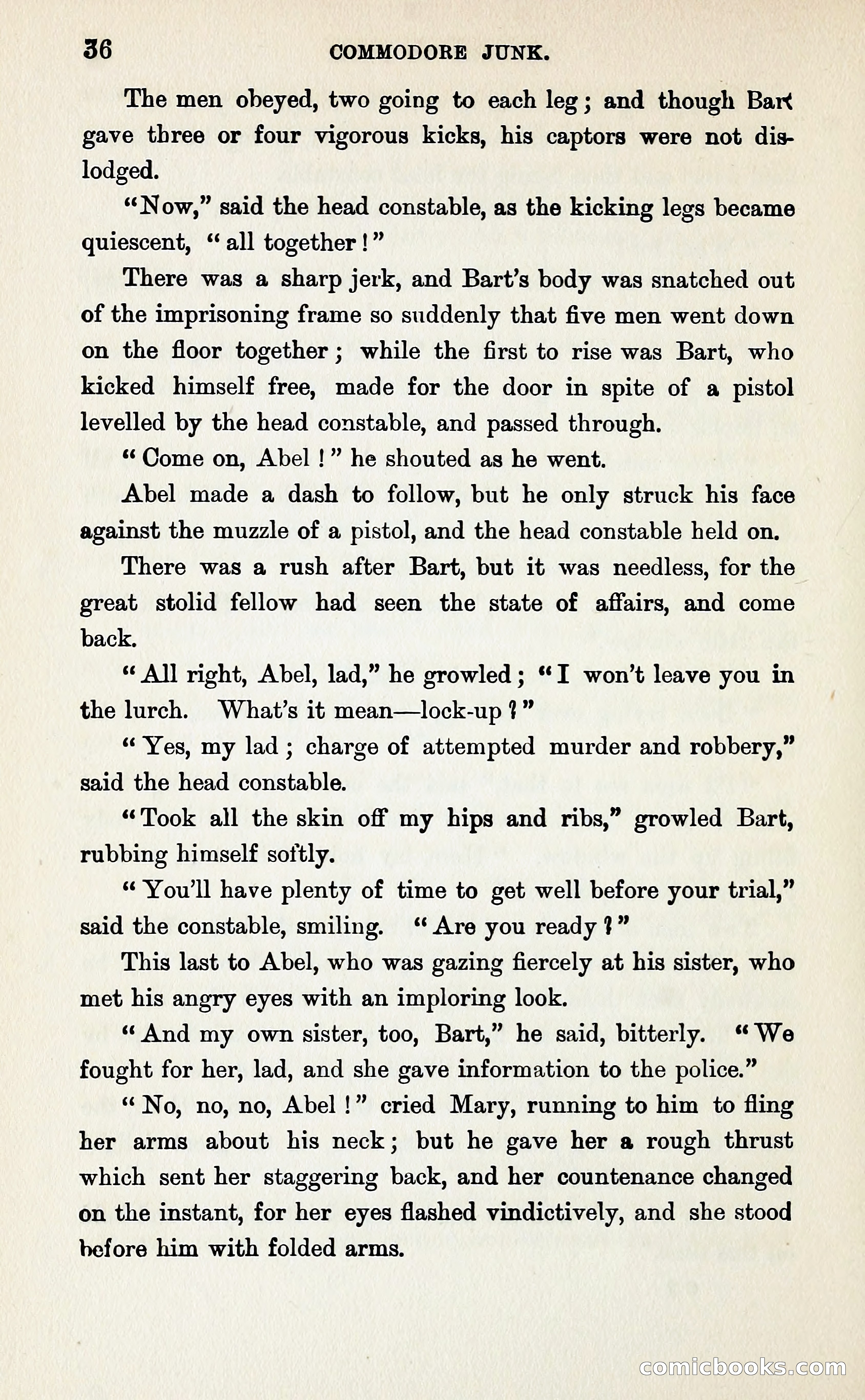 Commodore Junk — page 43 of 364