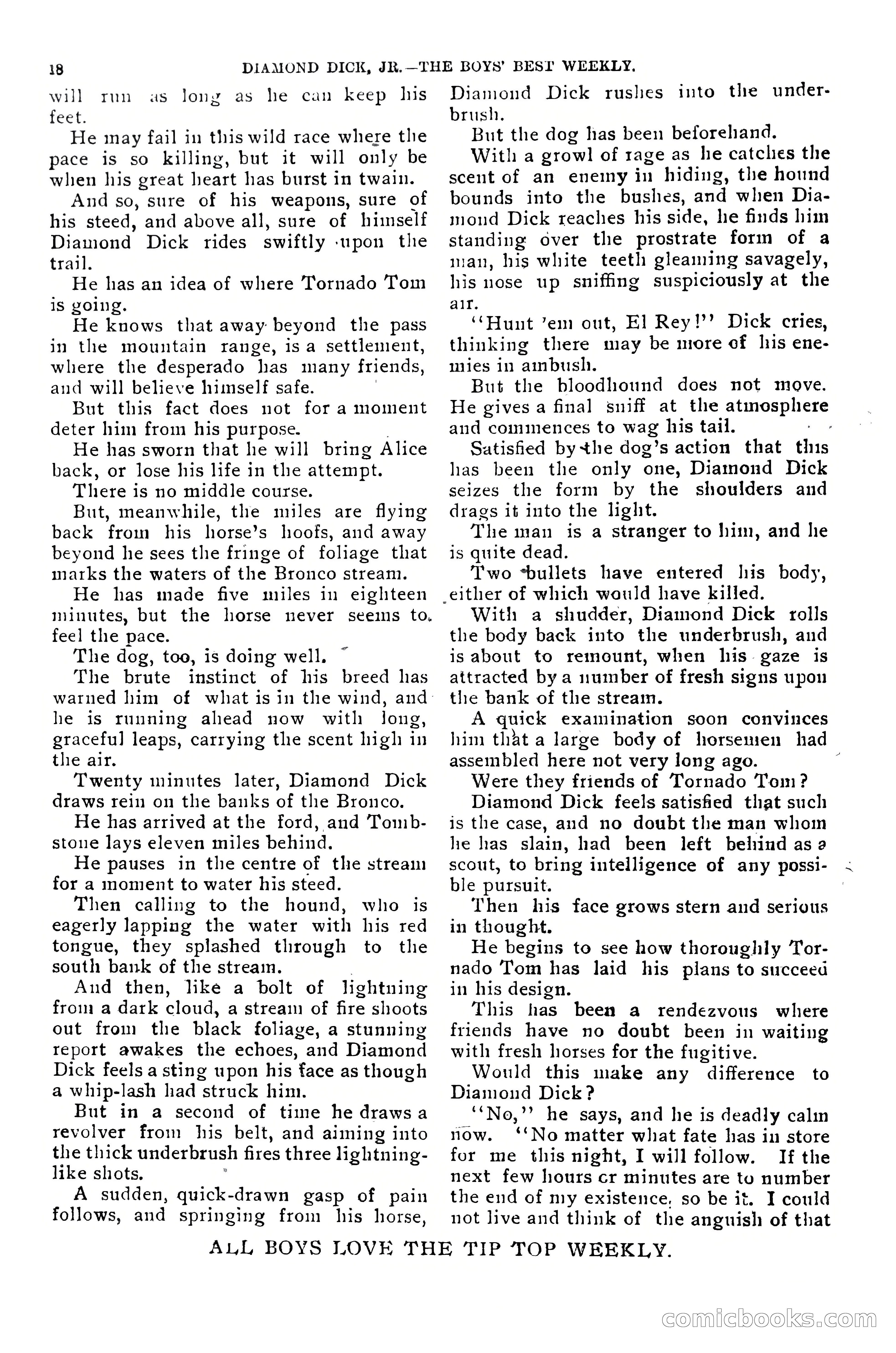 Dashing Diamond Dick, or, The Tigers of Tombstone — page 22 of 38