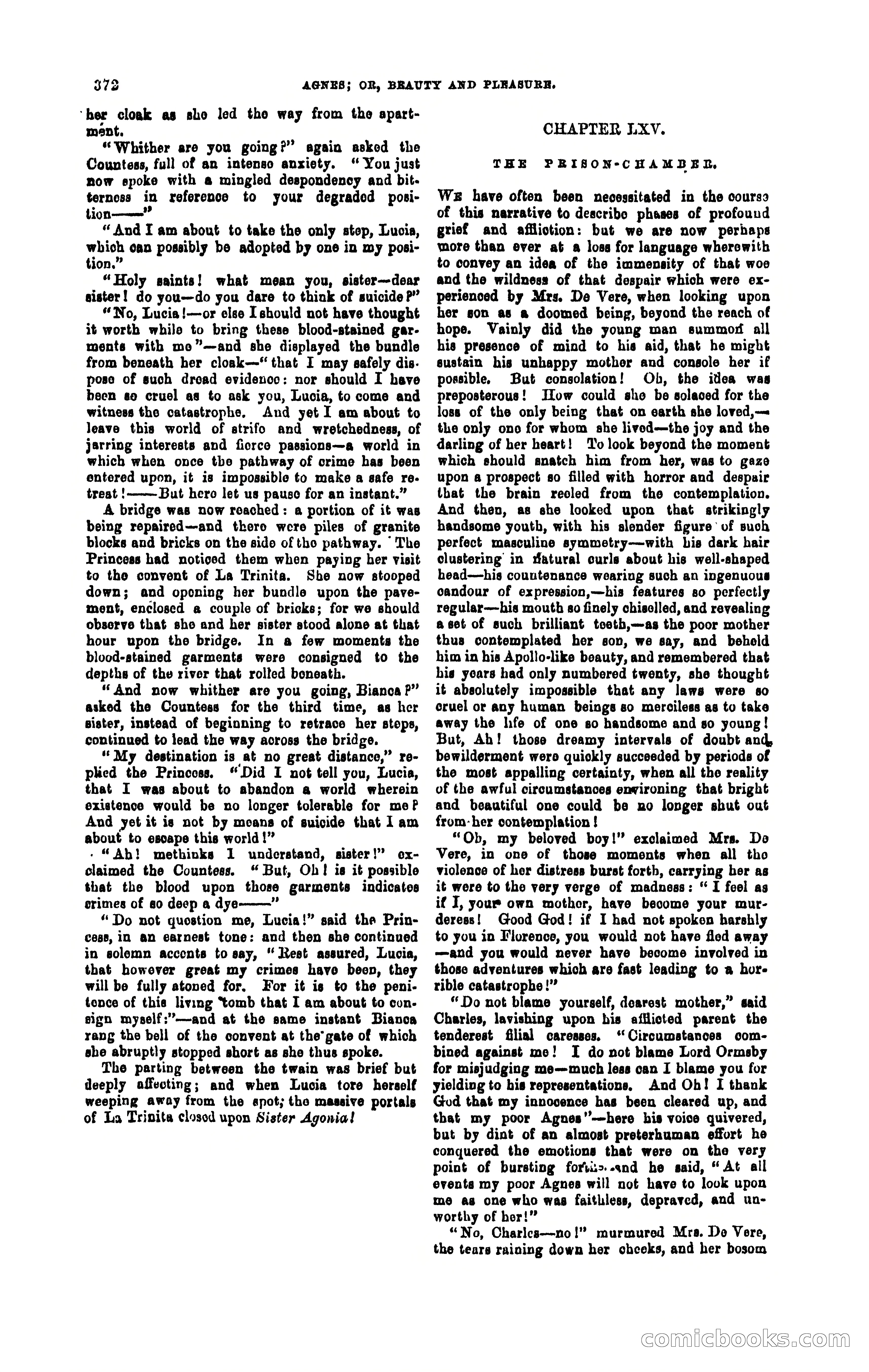 Agnes: A Tale of the Streets — page 18 of 397