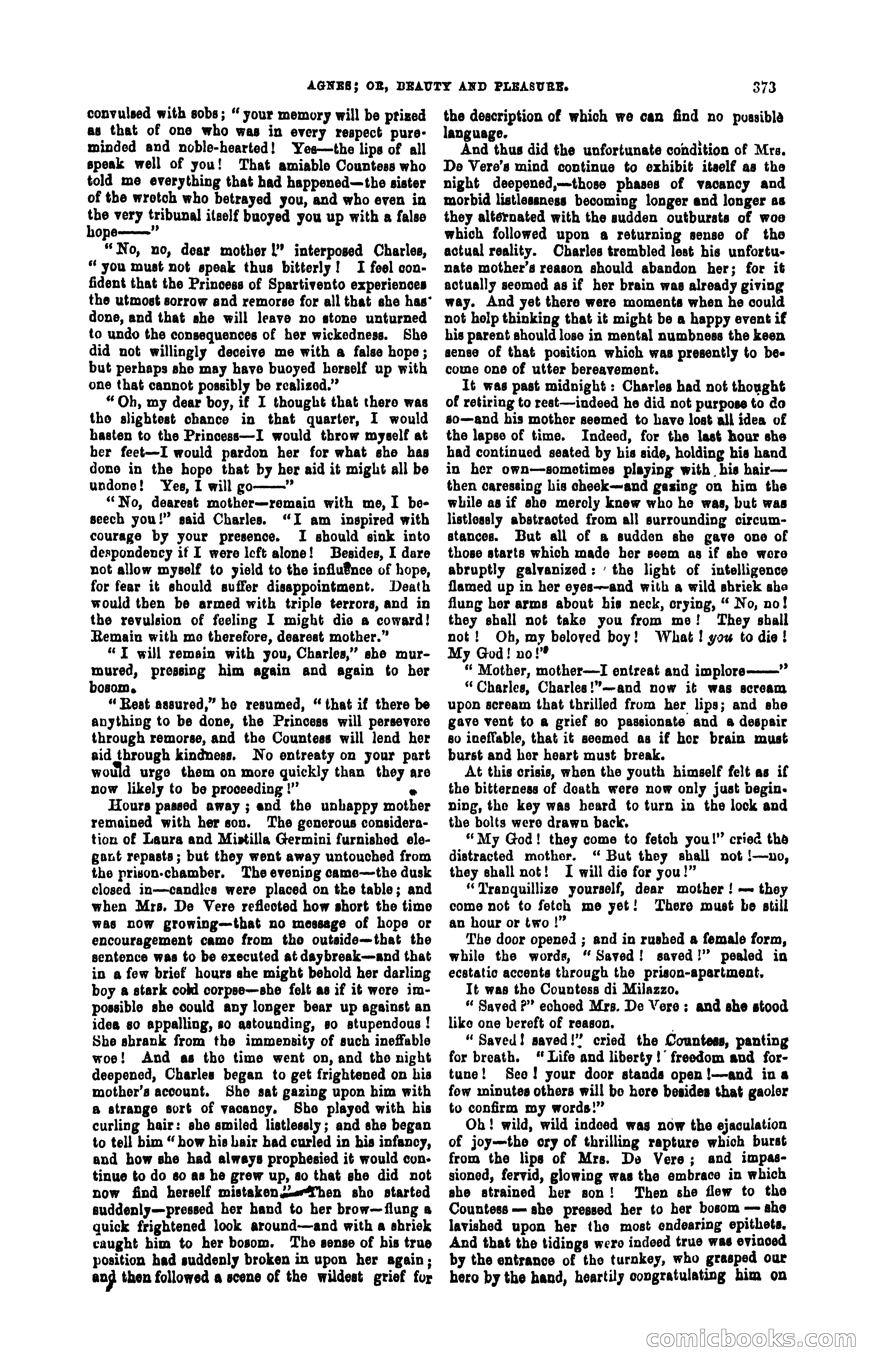 Agnes: A Tale of the Streets — page 19 of 397