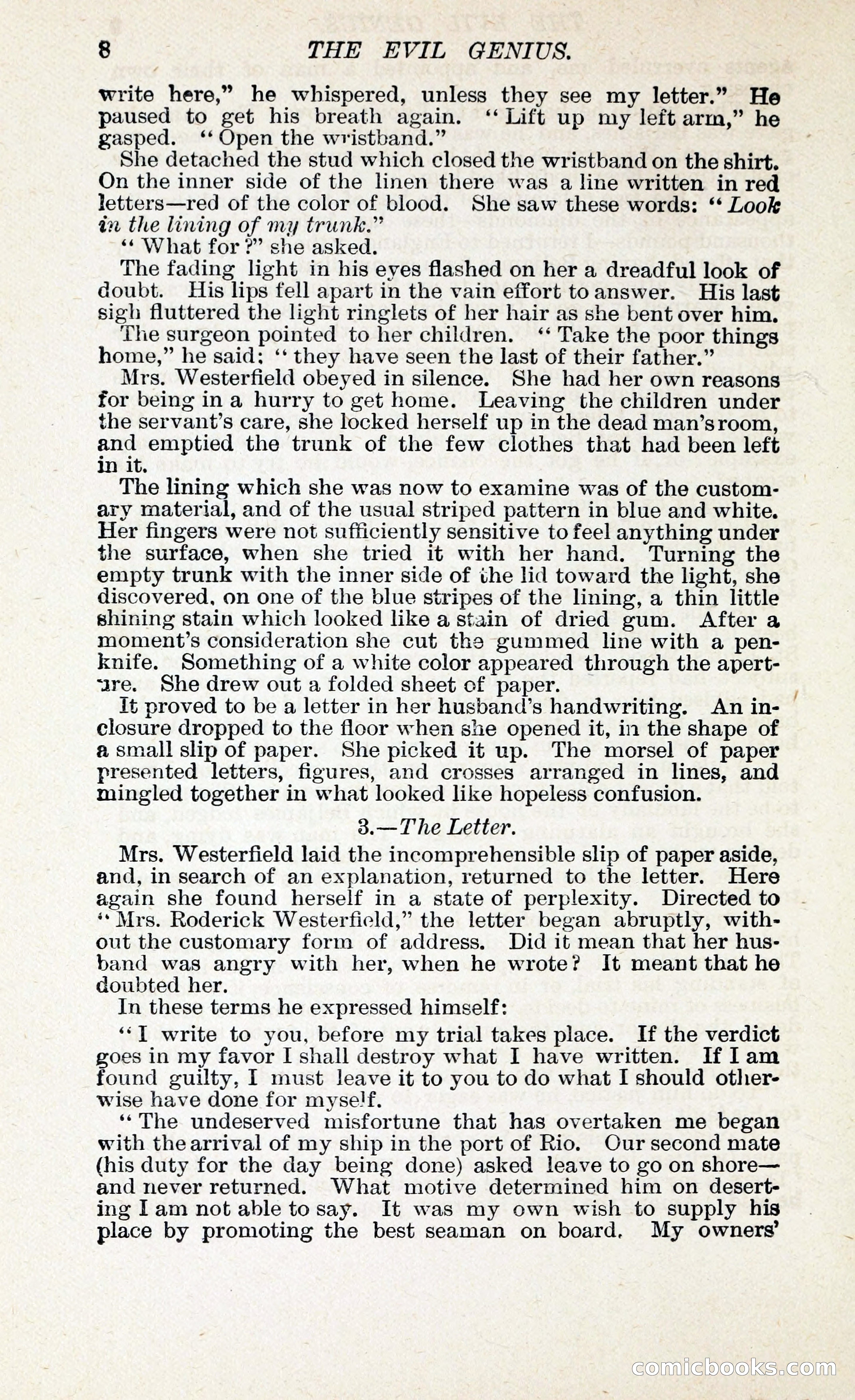The Evil Genius: A Domestic Story — page 19 of 245