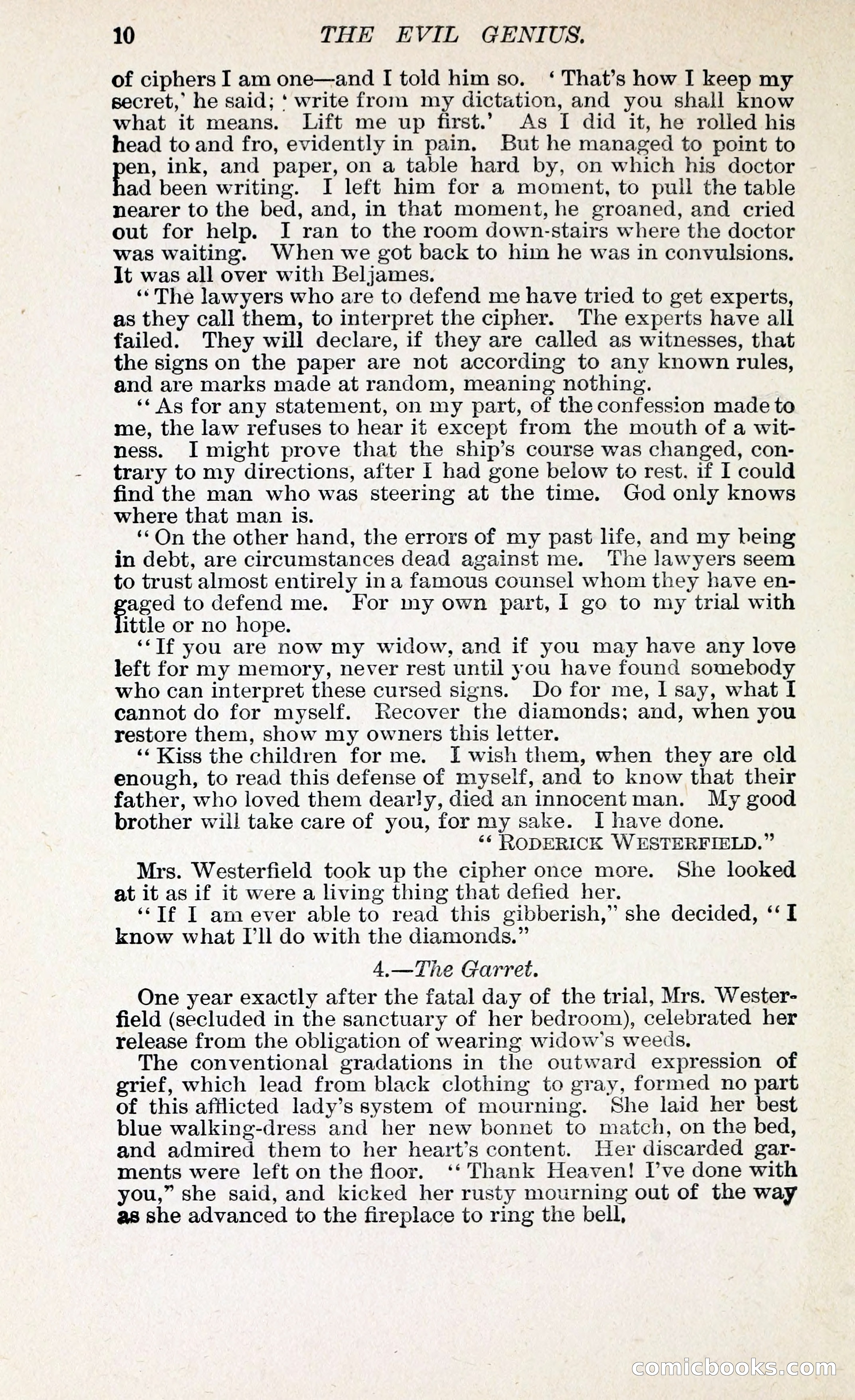 The Evil Genius: A Domestic Story — page 21 of 245