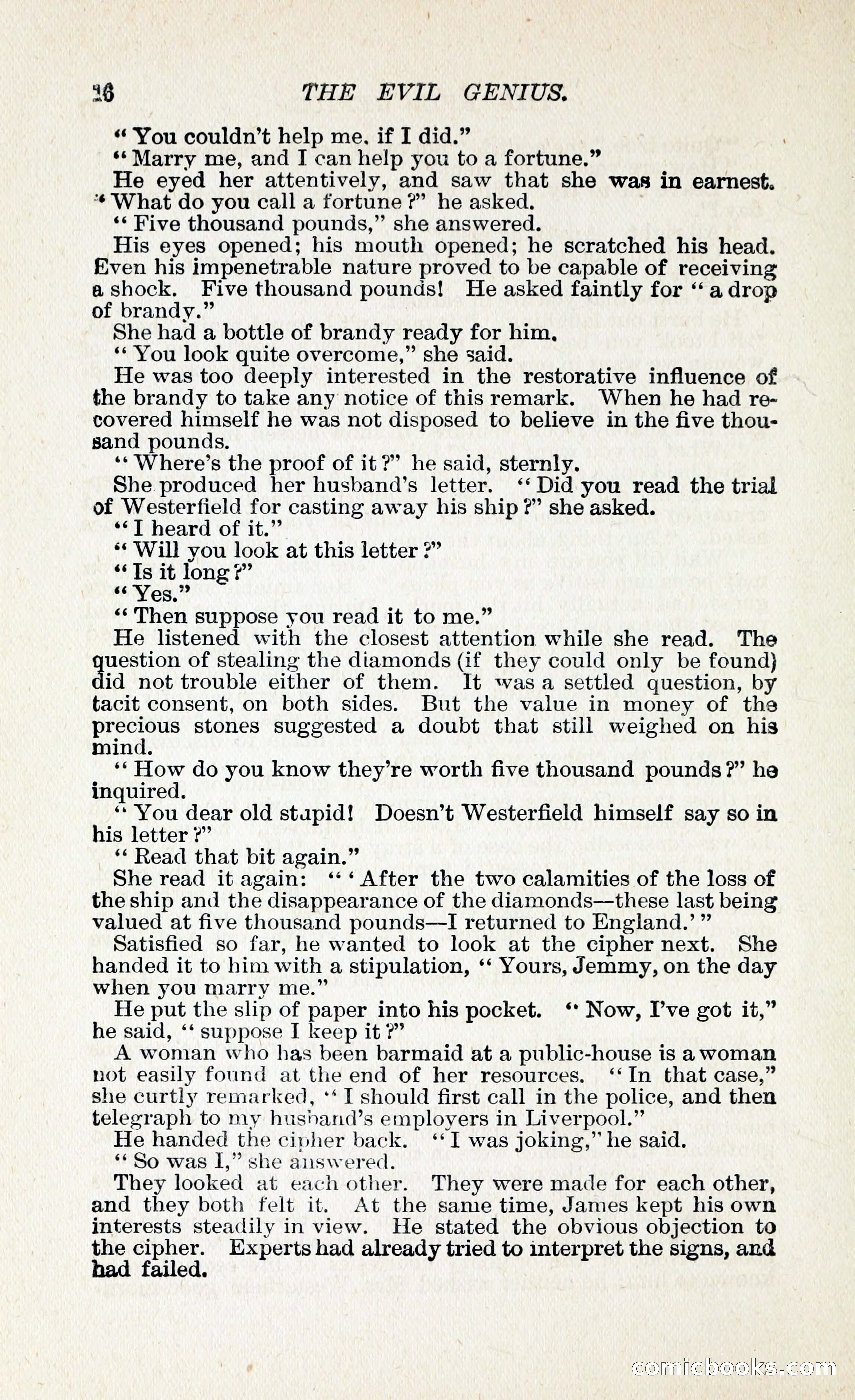 The Evil Genius: A Domestic Story — page 27 of 245
