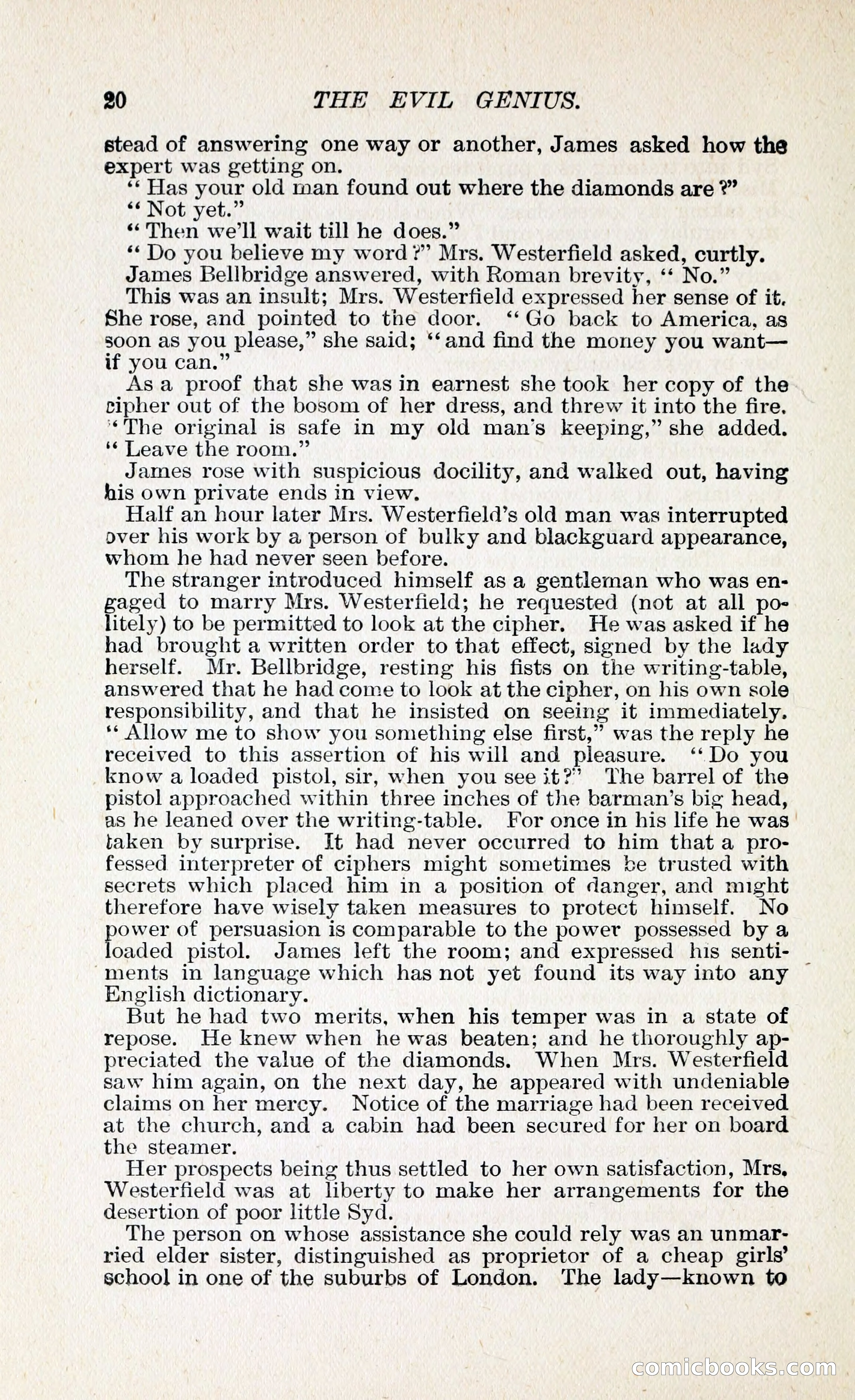 The Evil Genius: A Domestic Story — page 31 of 245
