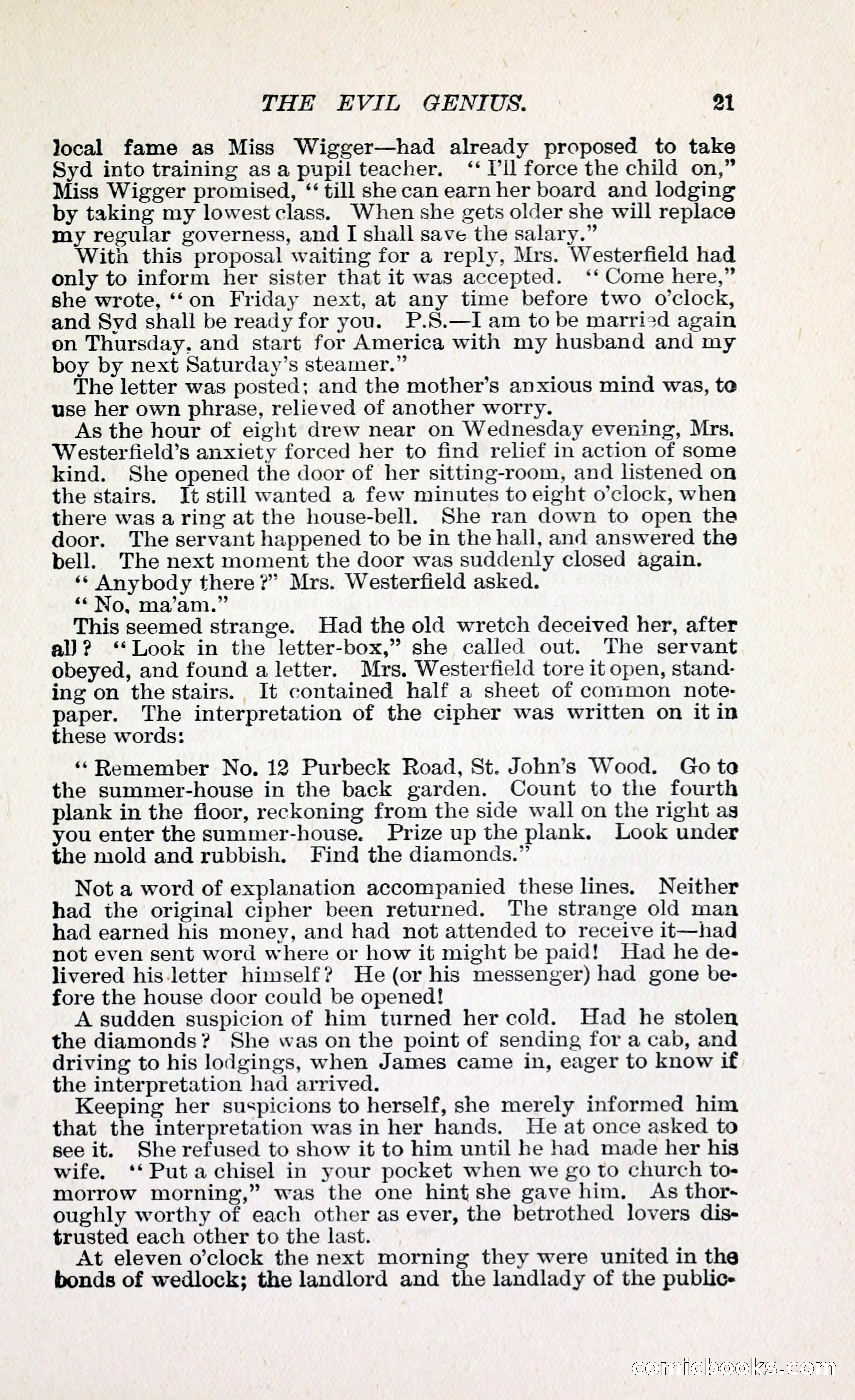 The Evil Genius: A Domestic Story — page 32 of 245