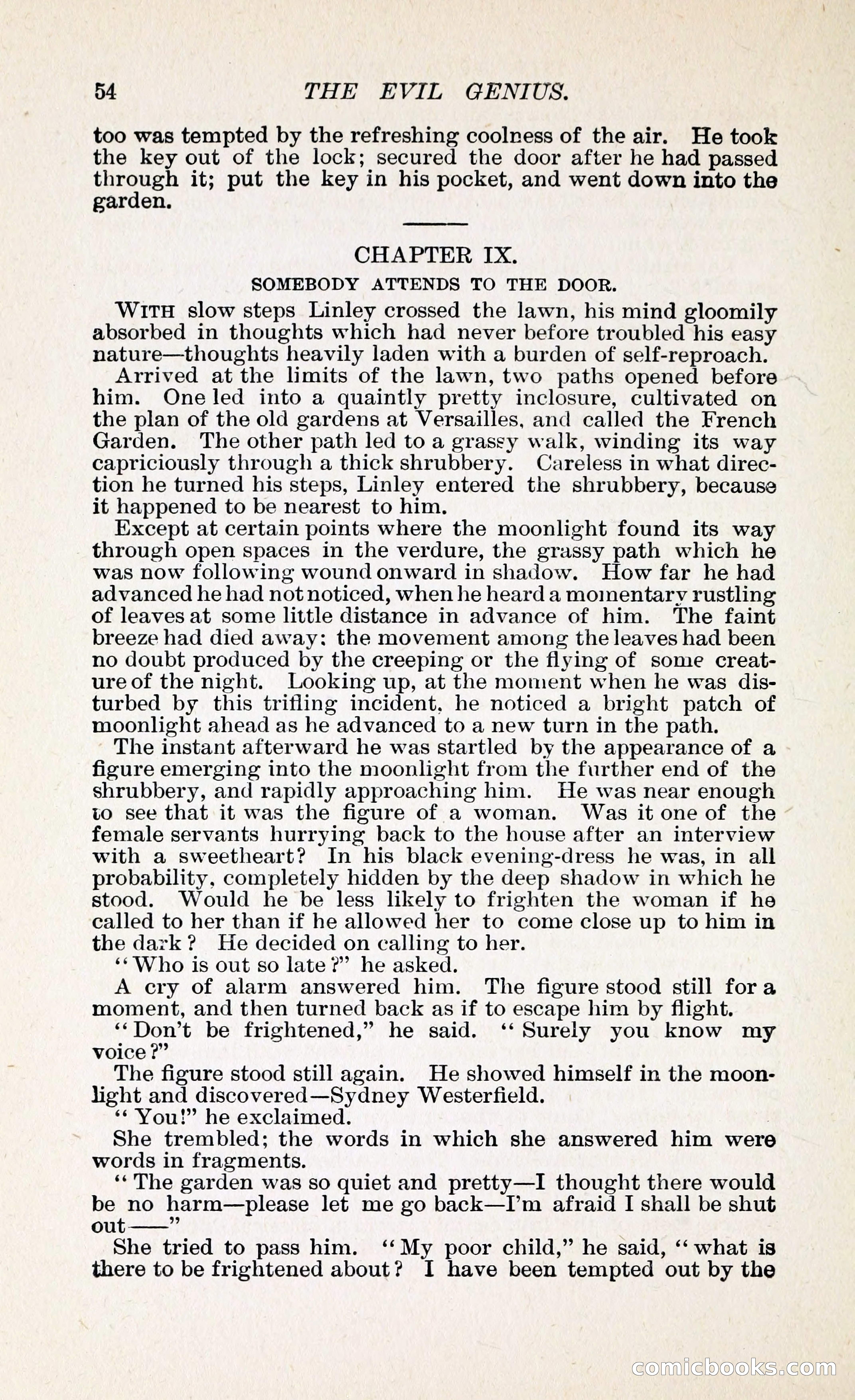 The Evil Genius: A Domestic Story — page 65 of 245