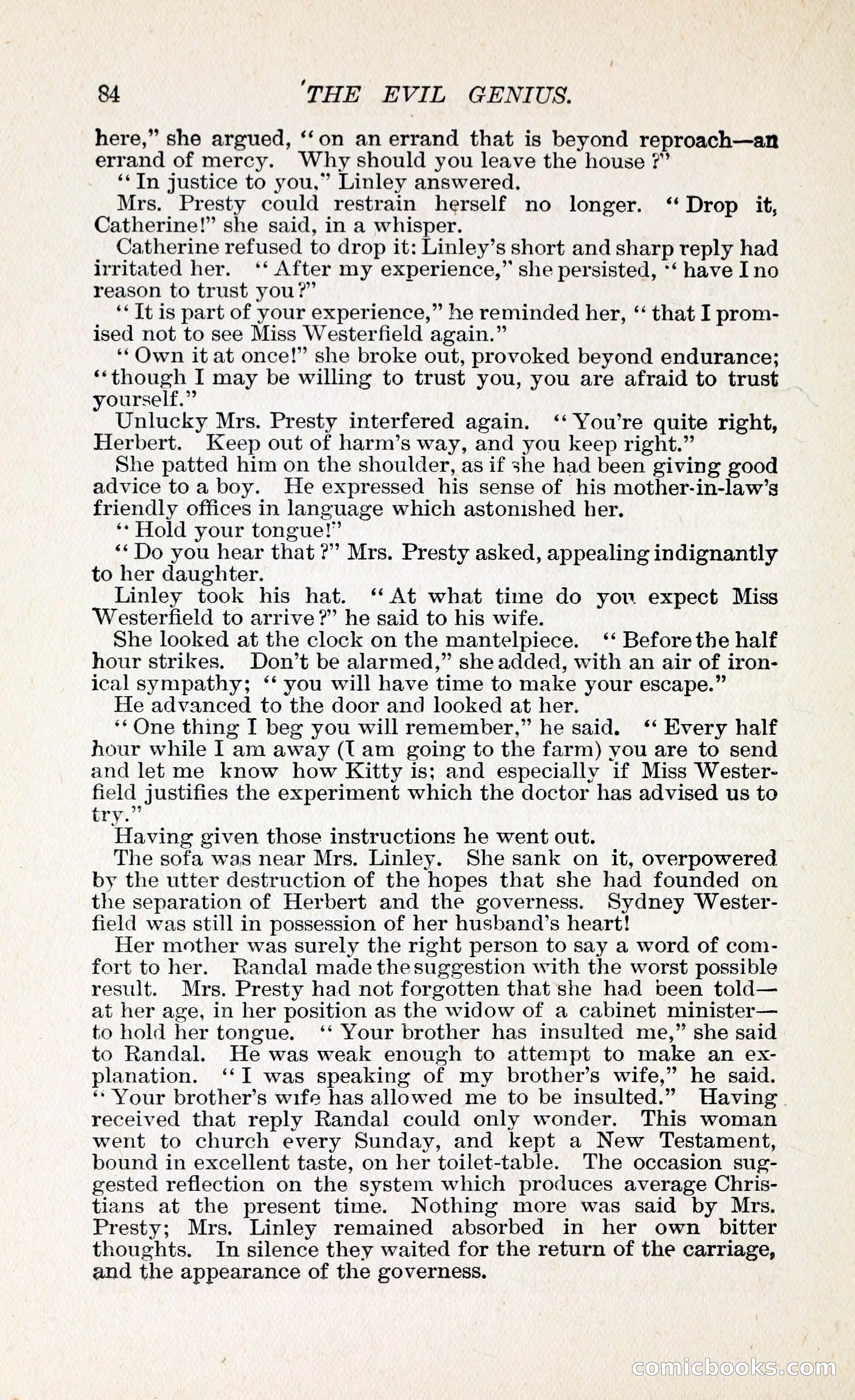 The Evil Genius: A Domestic Story — page 95 of 245