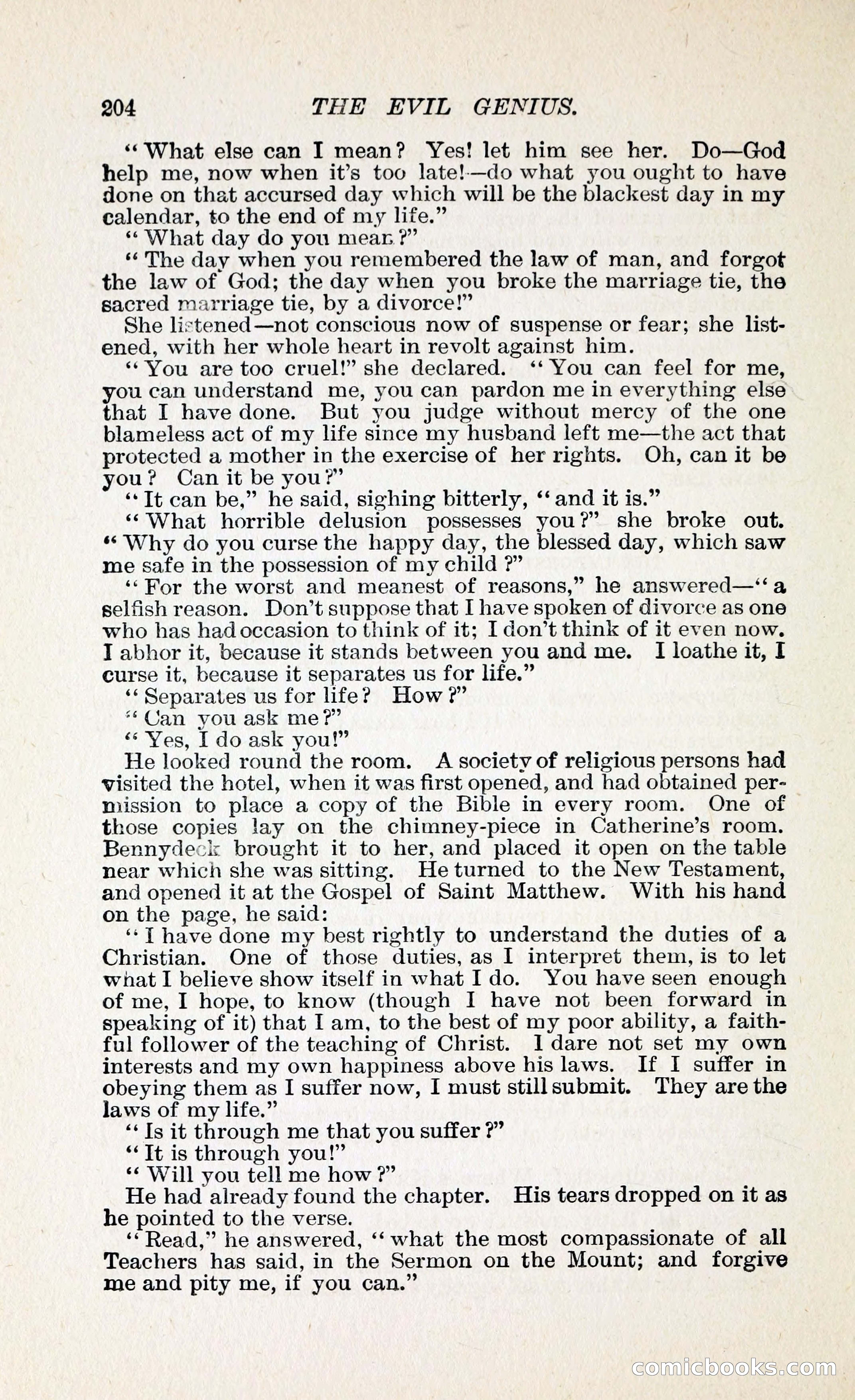 The Evil Genius: A Domestic Story — page 215 of 245