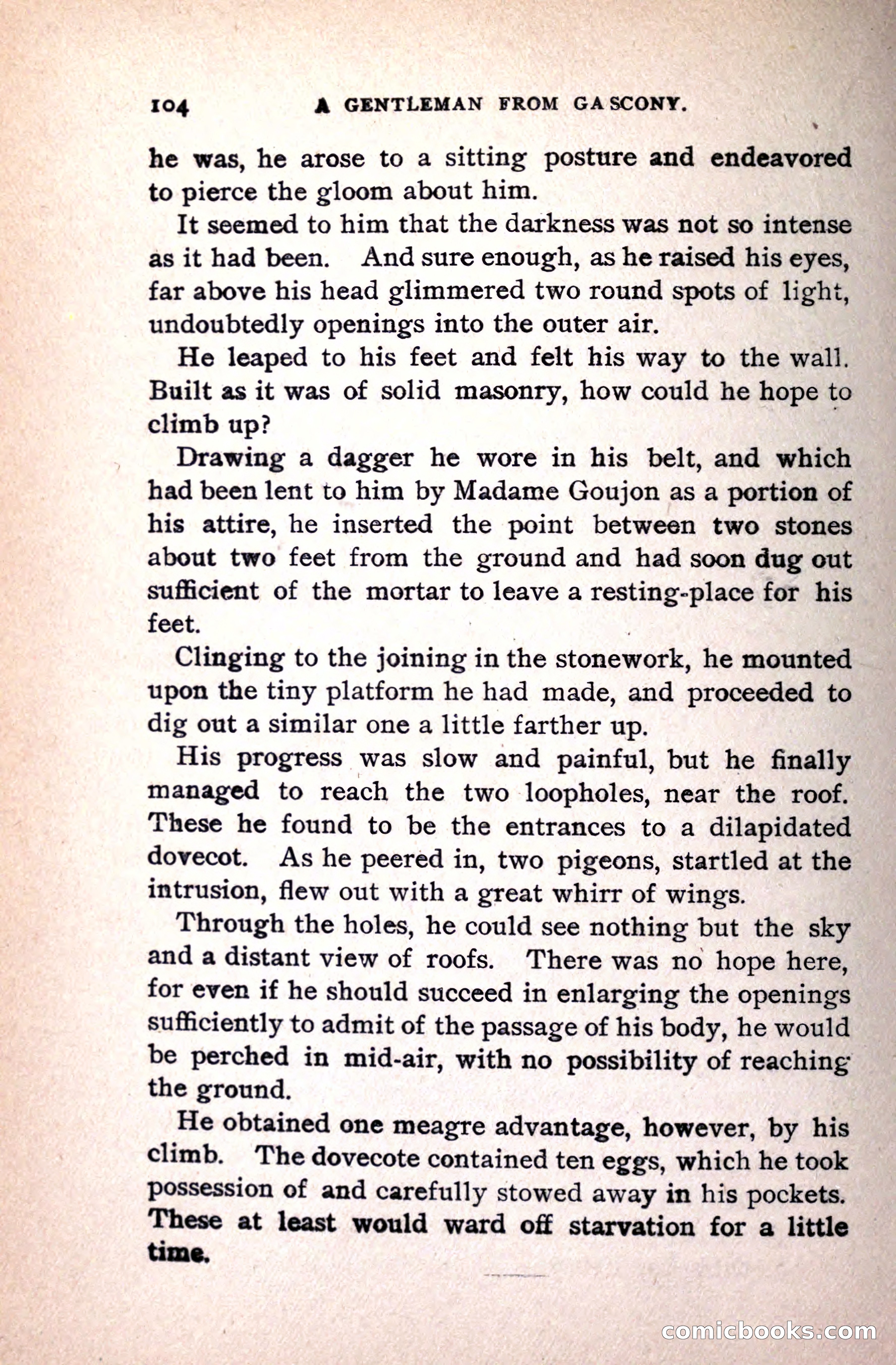 A Gentleman from Gascony: A Romance of the Huguenots — page 108 of 313