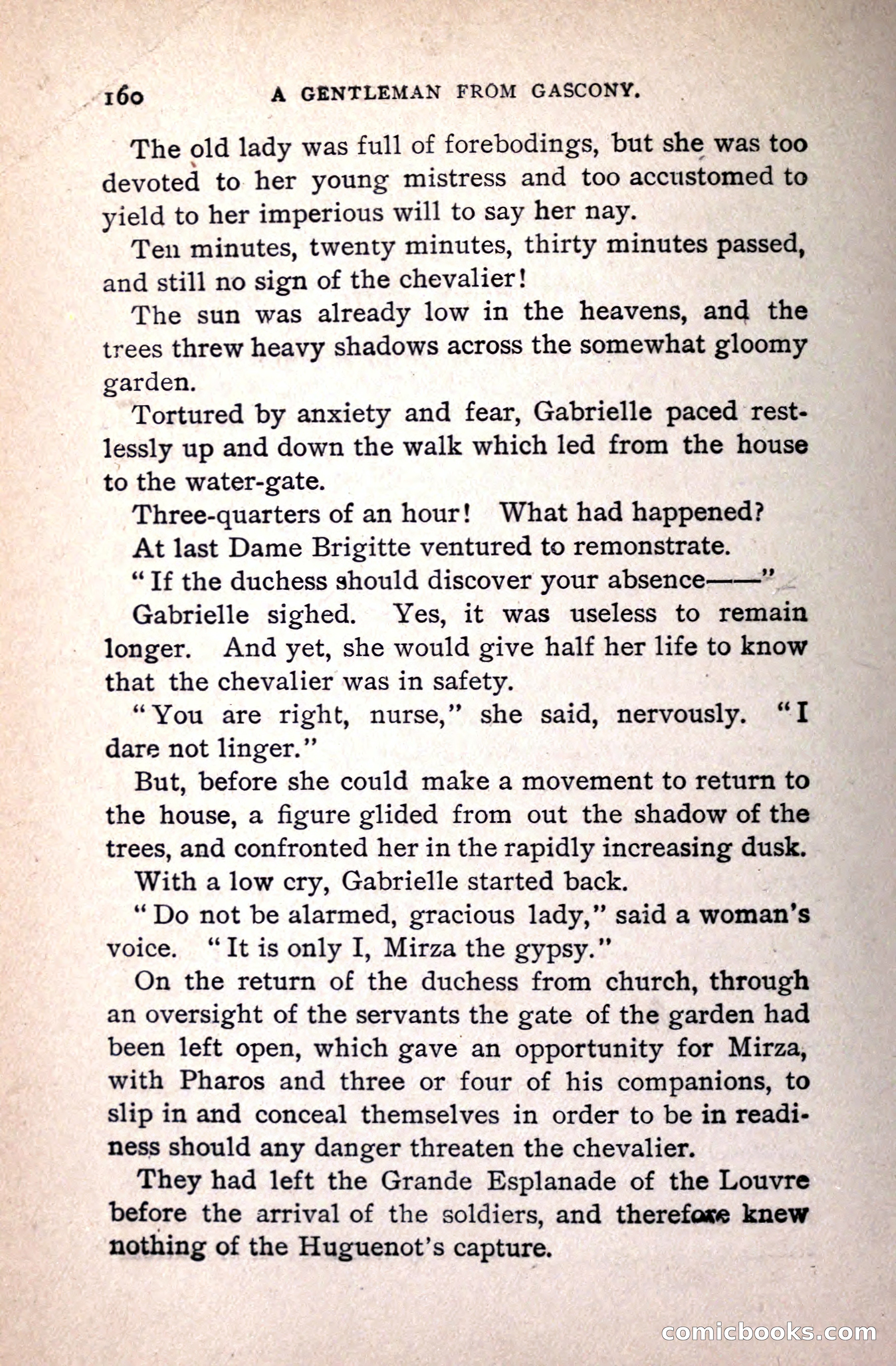 A Gentleman from Gascony: A Romance of the Huguenots — page 164 of 313