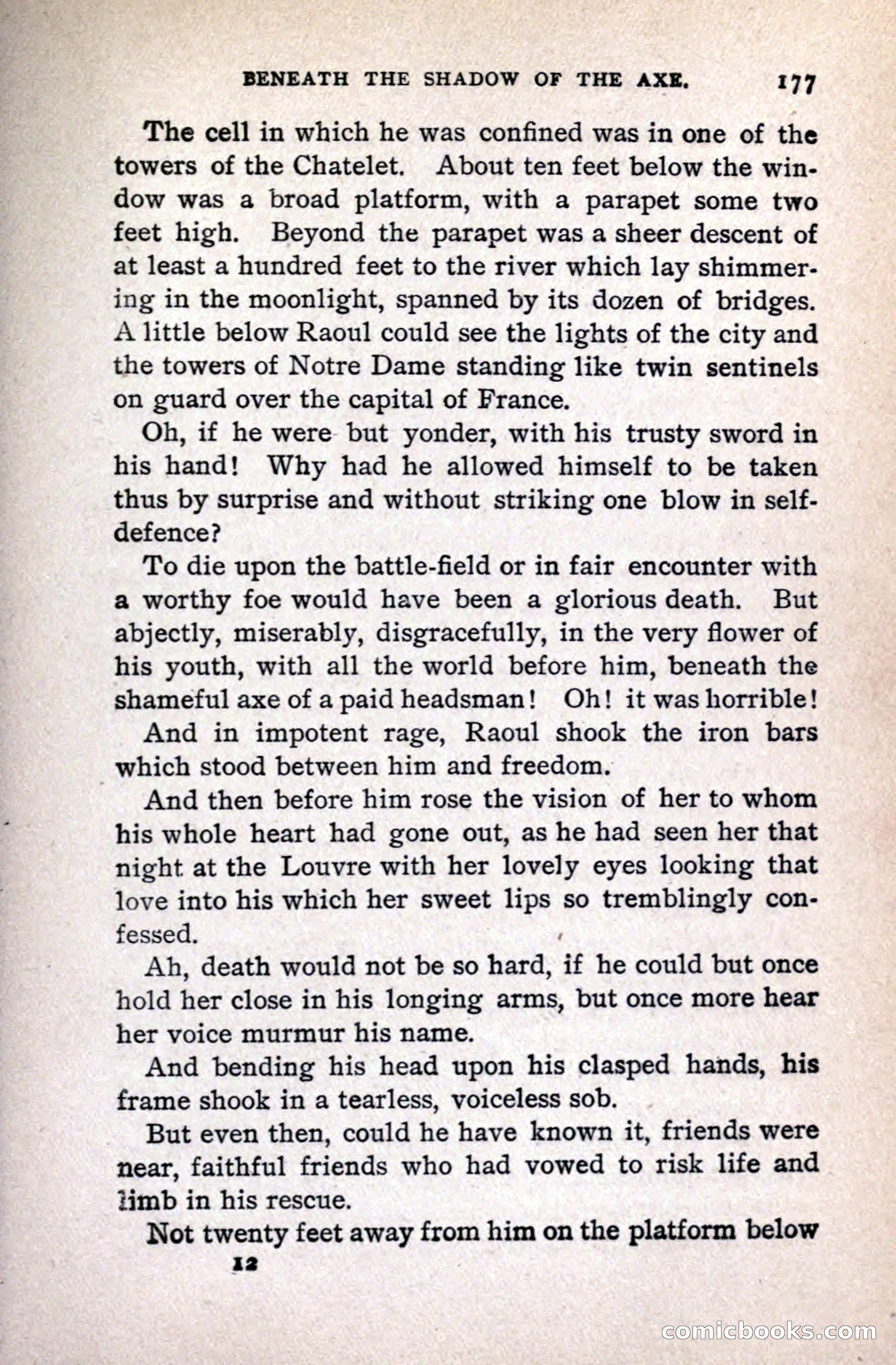 A Gentleman from Gascony: A Romance of the Huguenots — page 181 of 313