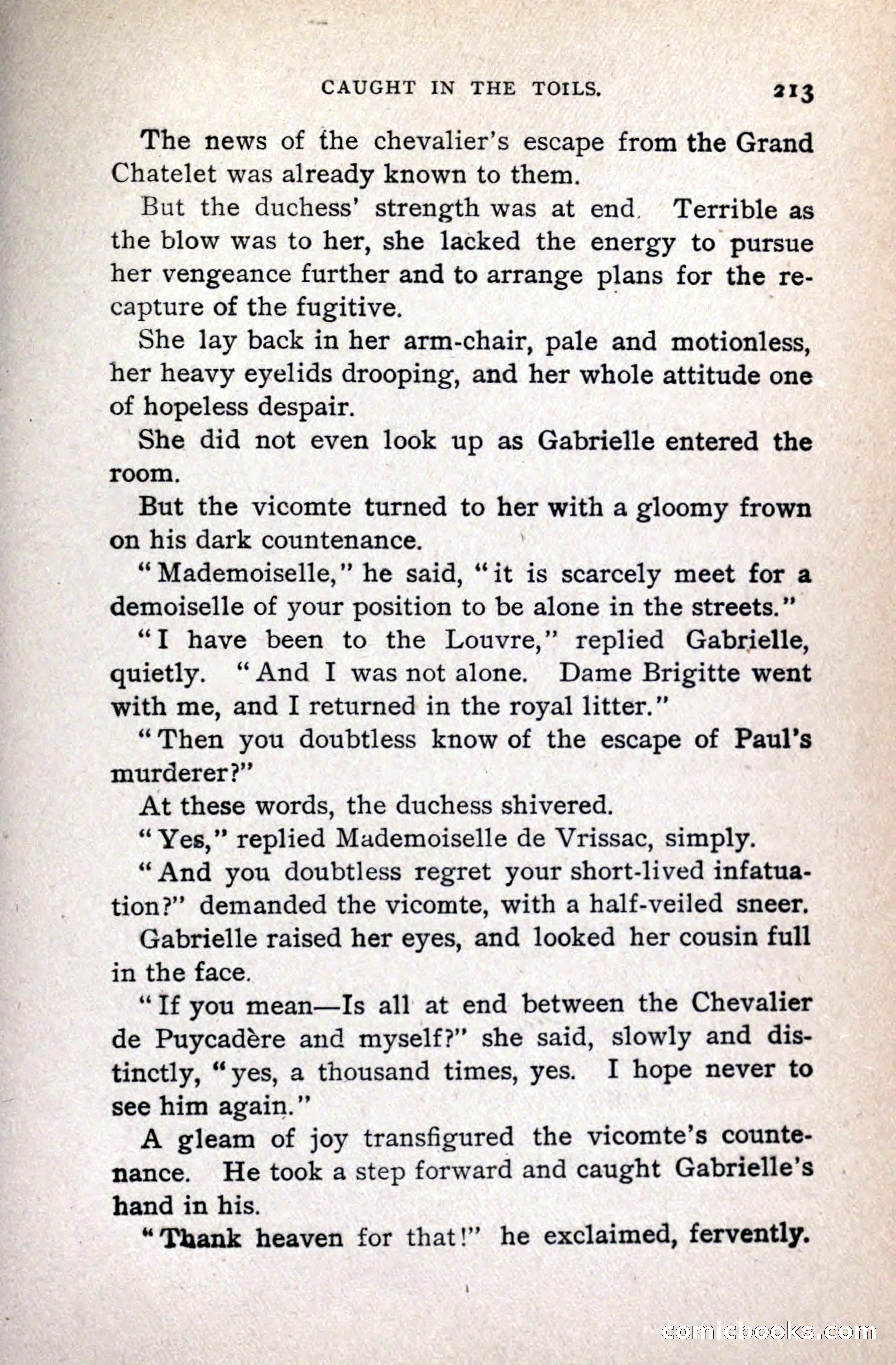 A Gentleman from Gascony: A Romance of the Huguenots — page 217 of 313